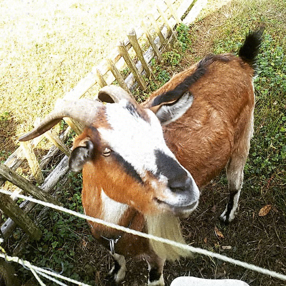 f:id:frgregory:20201126181801j:plain