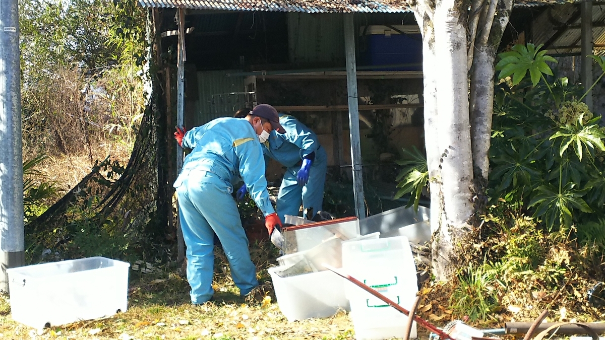 f:id:frgregory:20201221204053j:plain