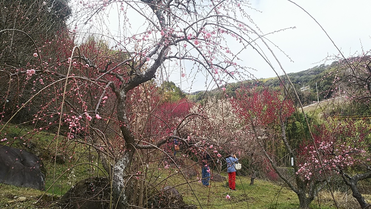 f:id:frgregory:20210214211229j:plain