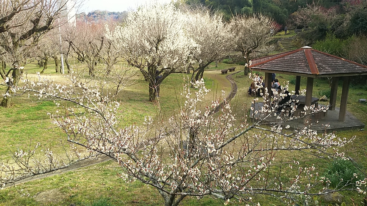 f:id:frgregory:20210214211258j:plain