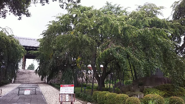 f:id:frgregory:20210713144029j:image