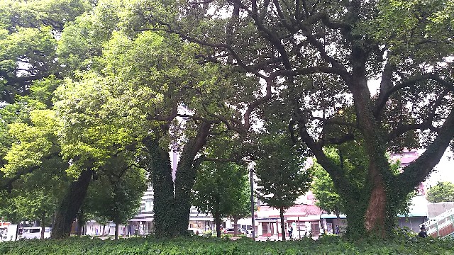 f:id:frgregory:20210912222602j:plain