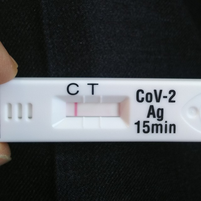 f:id:frgregory:20220126130046j:plain