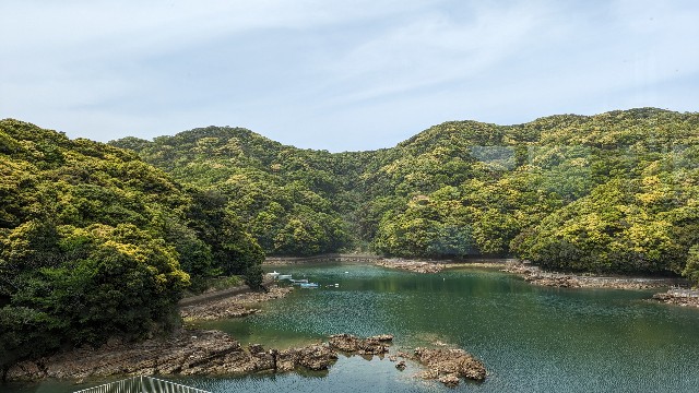 f:id:frgregory:20240419215102j:image