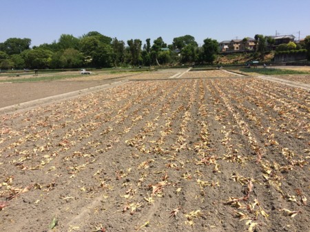 f:id:friday66:20170508102546j:image:w360 f:id:friday66:20170508102546j:image:w360