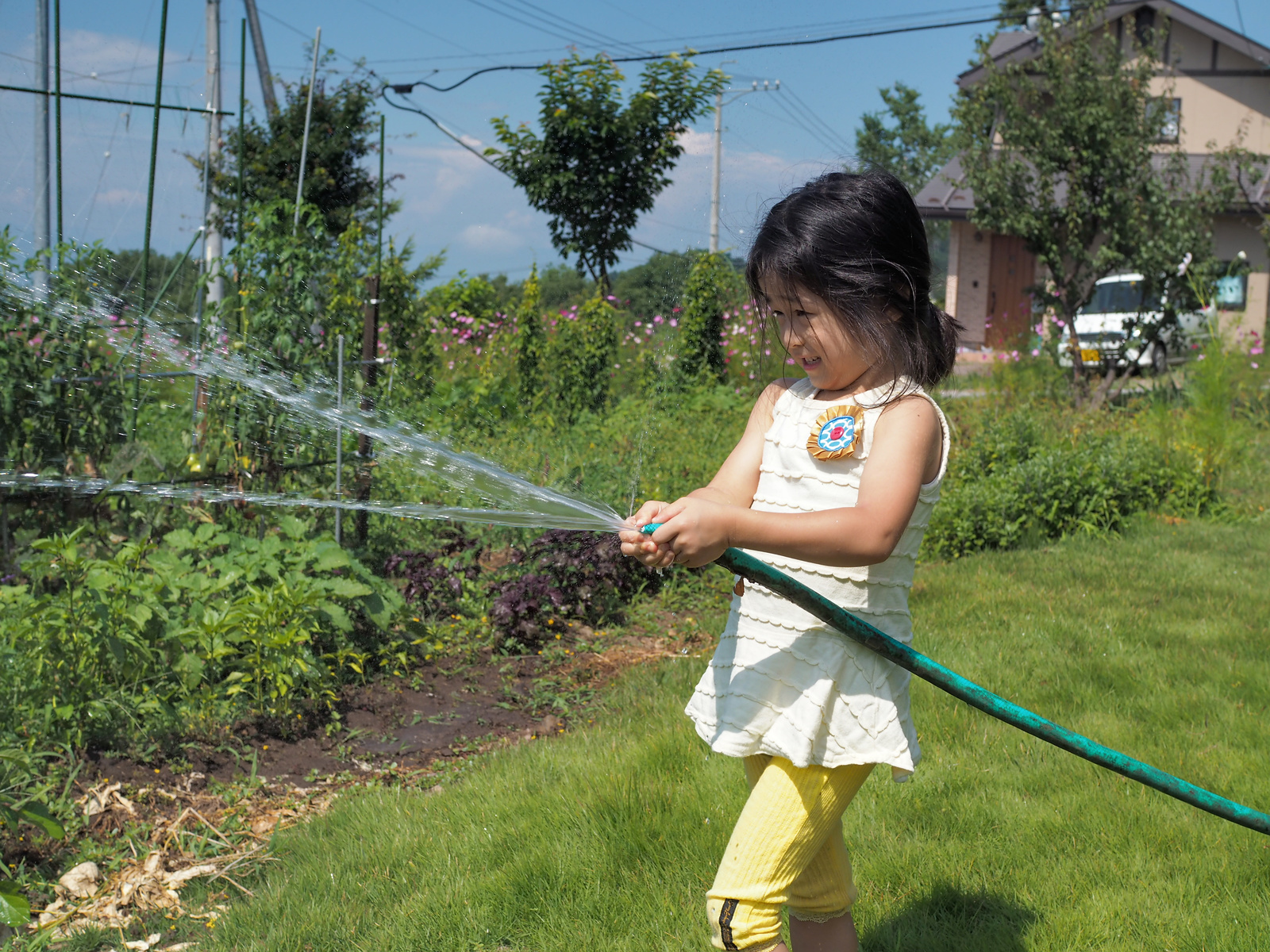 f:id:fridaynight:20140802094518j:plain