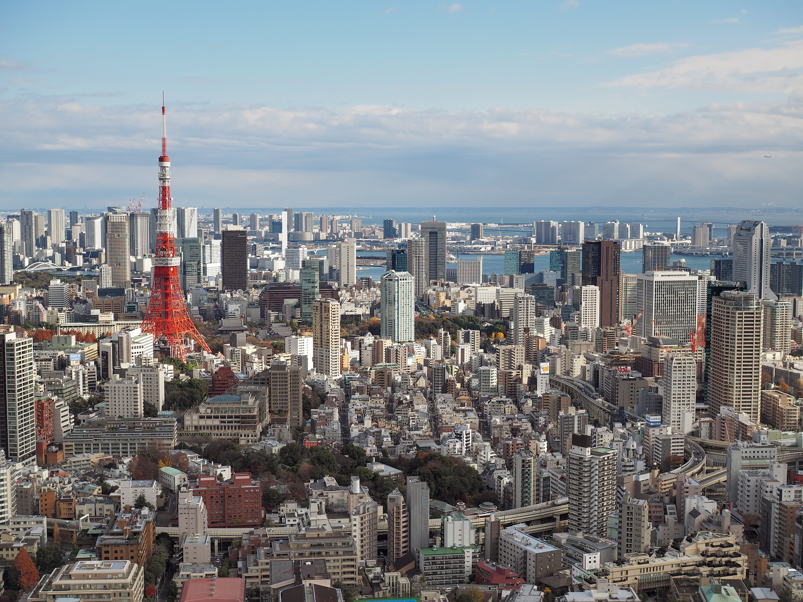 f:id:fridaynight:20151217131037j:plain