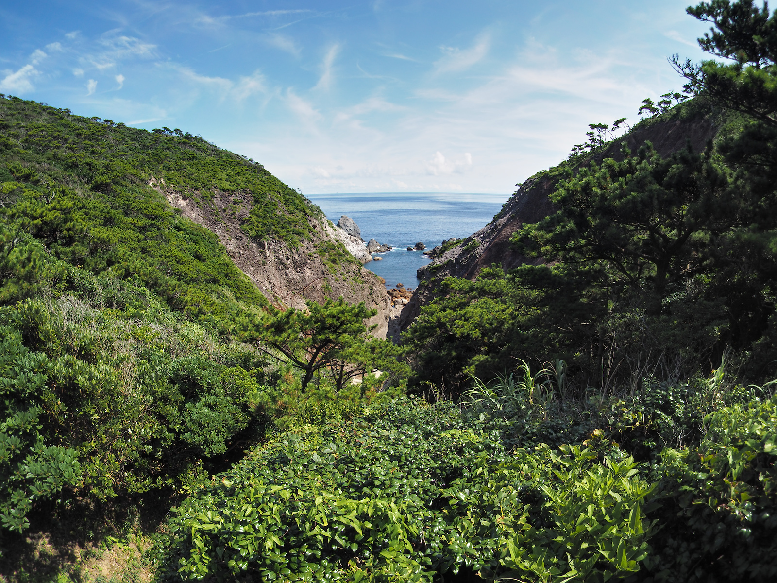 f:id:fridaynight:20160804140954j:plain