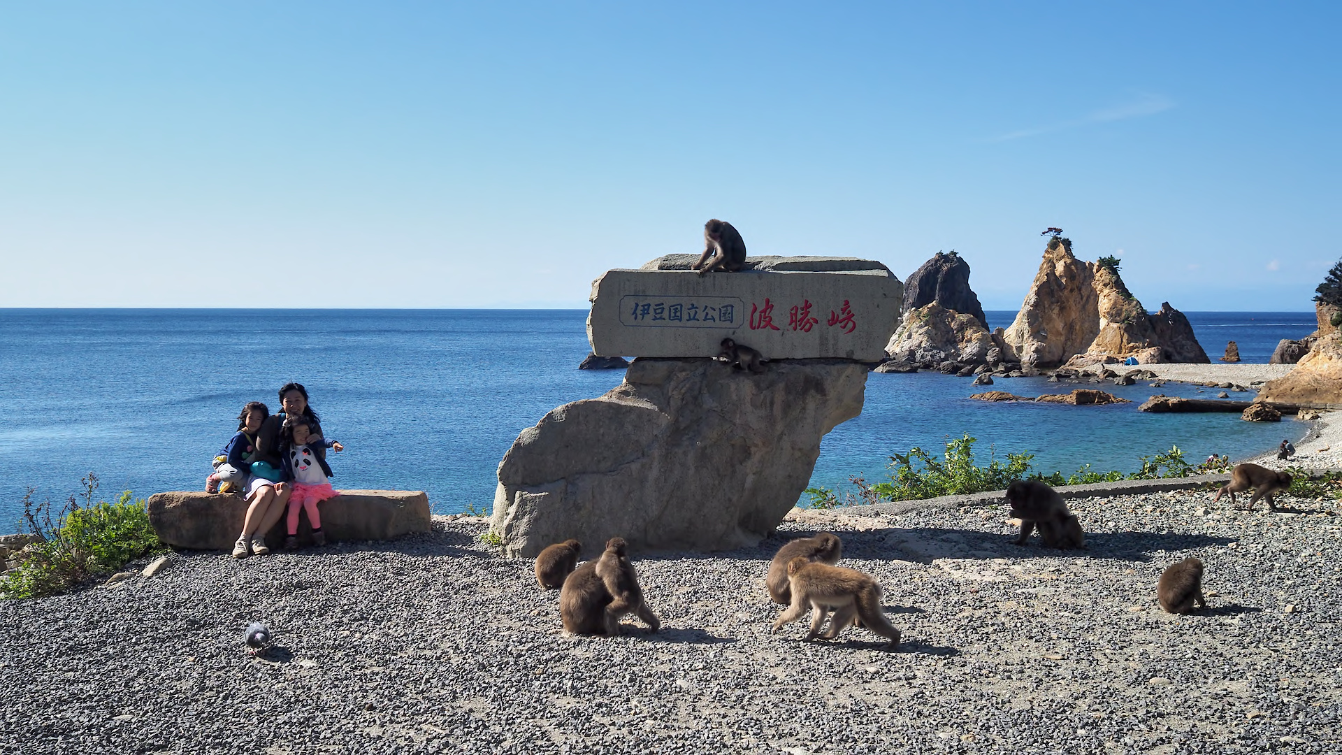 f:id:fridaynight:20161015133631j:plain