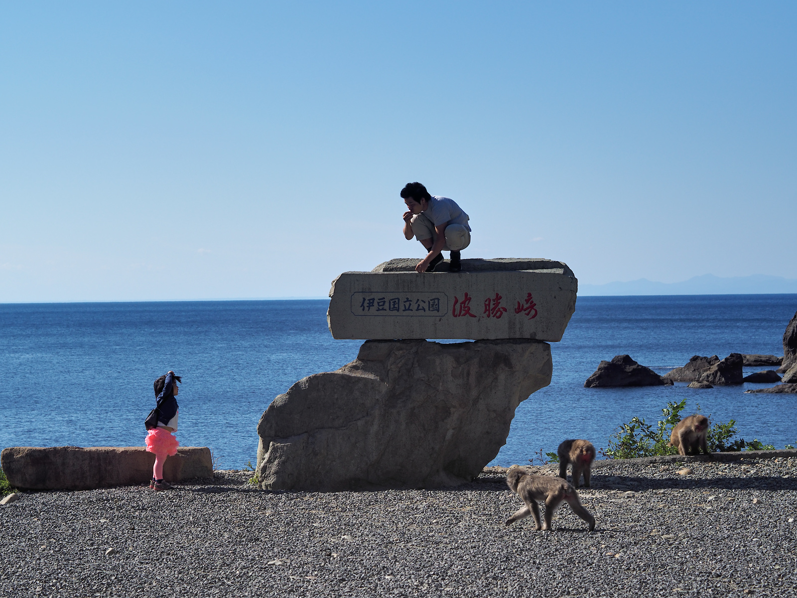 f:id:fridaynight:20161015134209j:plain