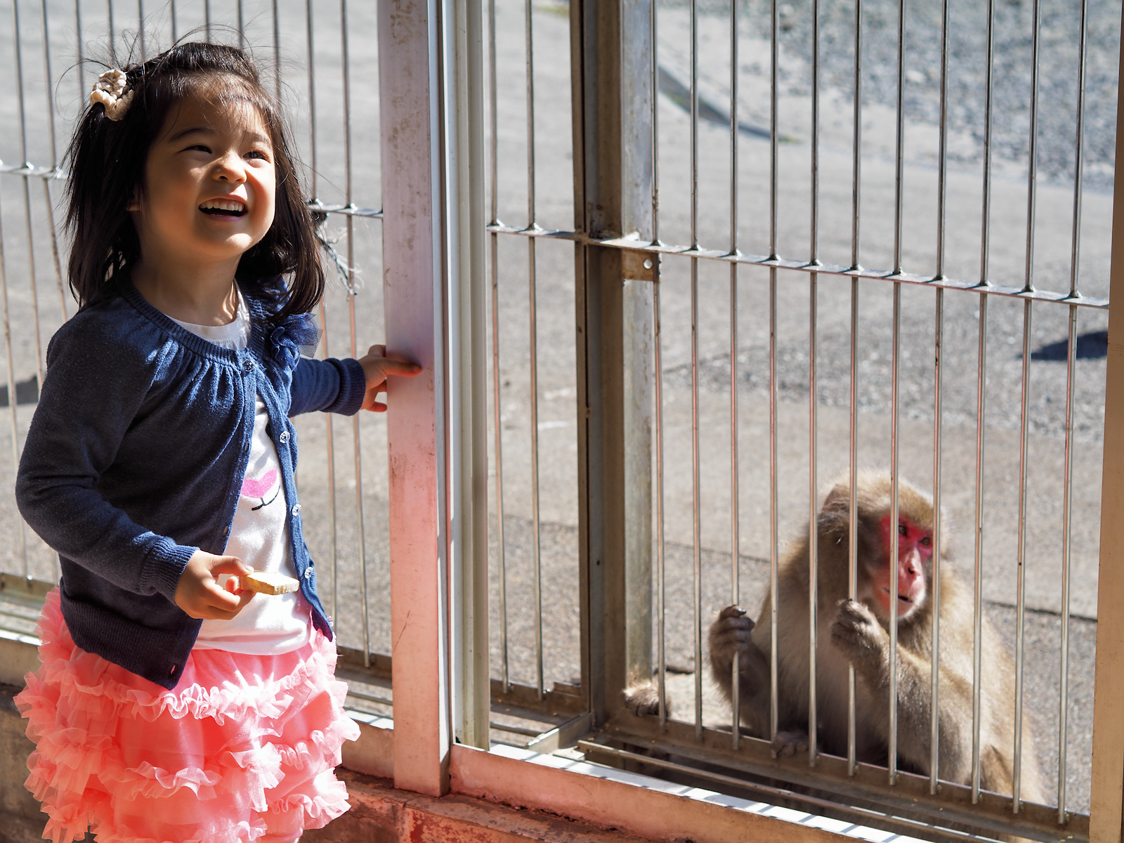 f:id:fridaynight:20161015134940j:plain