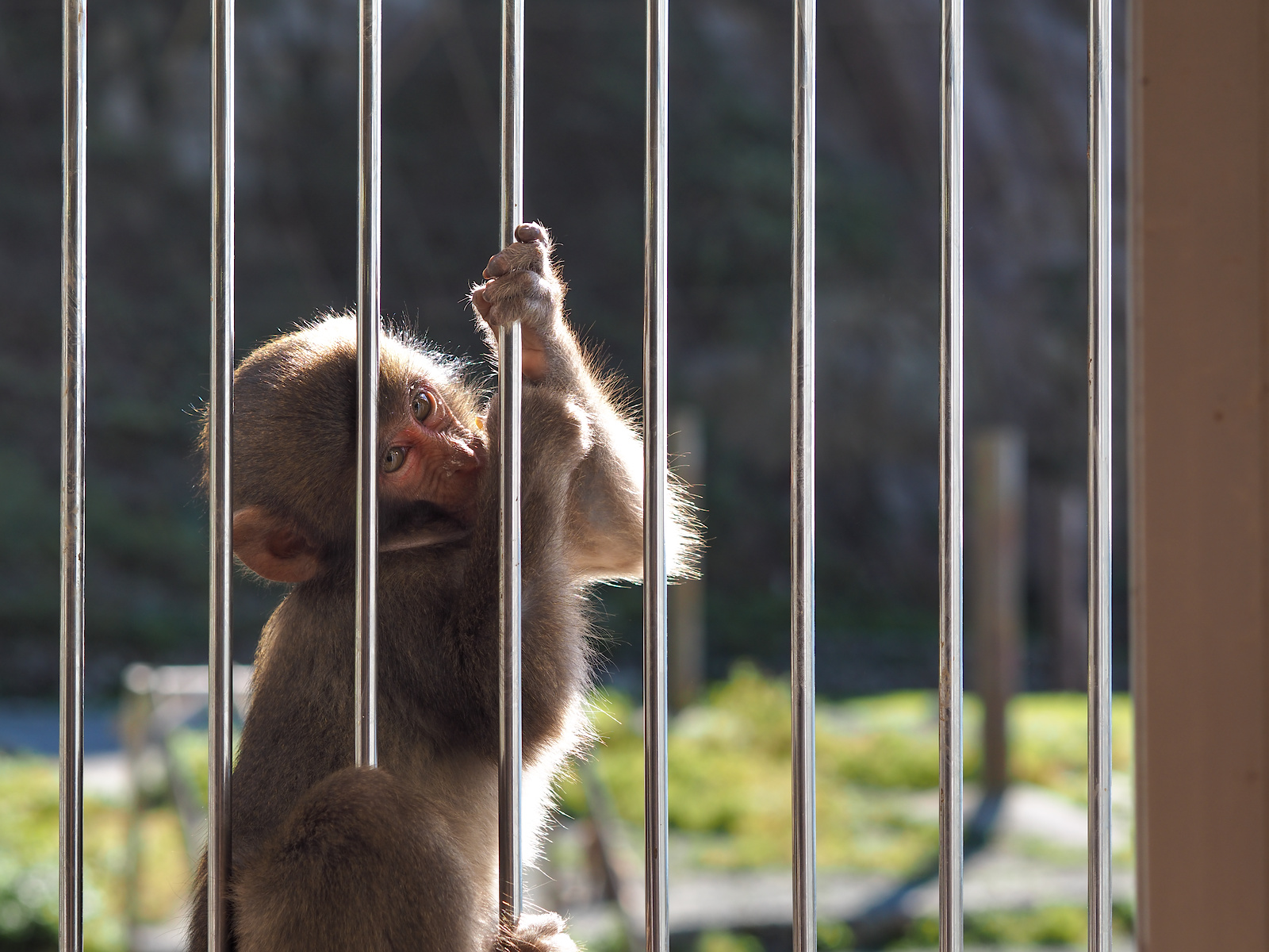 f:id:fridaynight:20161015134954j:plain