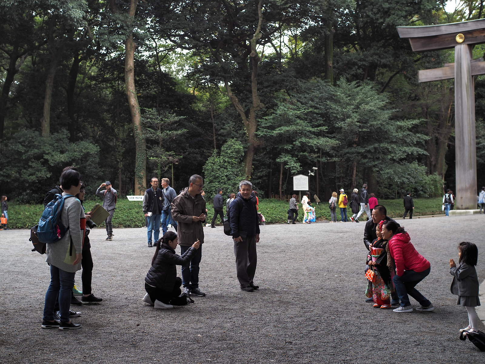 f:id:fridaynight:20161030113308j:plain