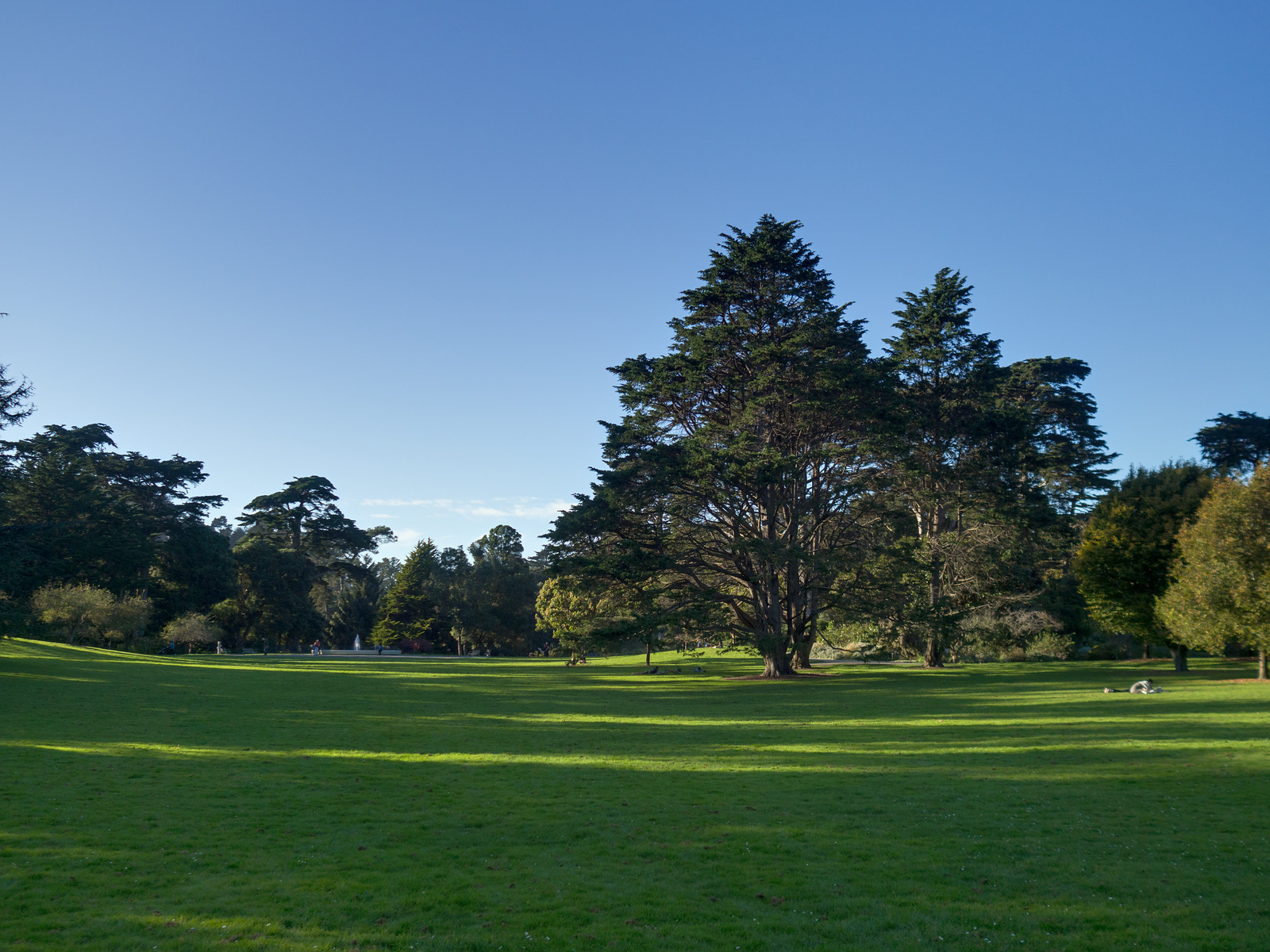 f:id:fridaynight:20161202101115j:plain