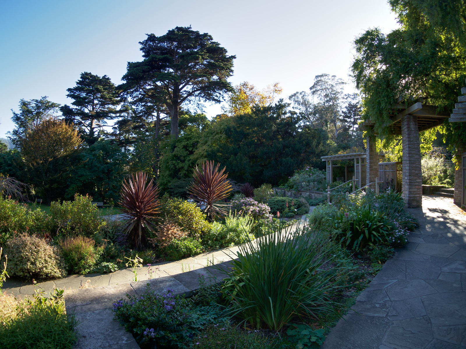 f:id:fridaynight:20161202101253j:plain