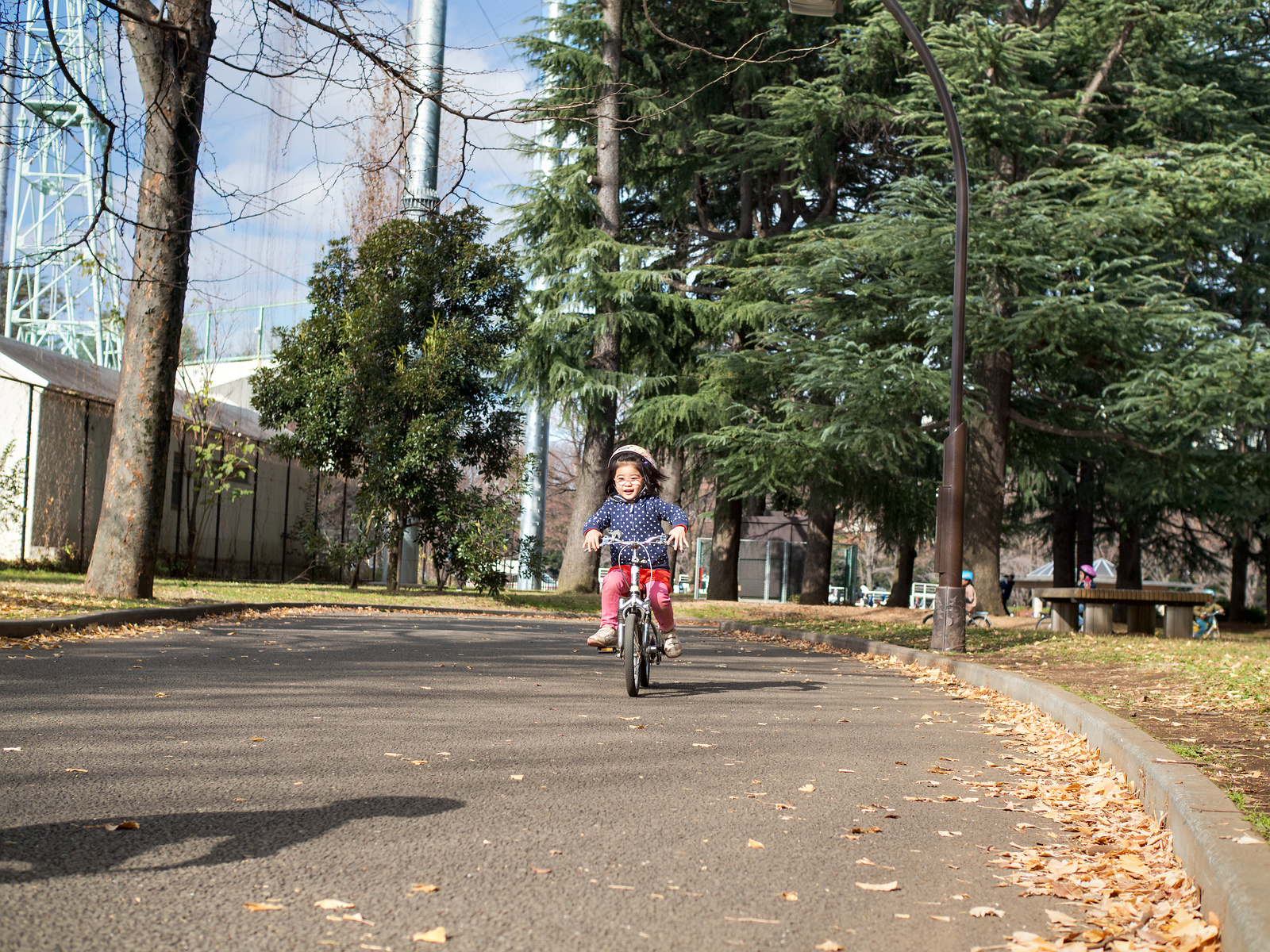 f:id:fridaynight:20161218122339j:plain f:id:fridaynight:20161218122339j:plain