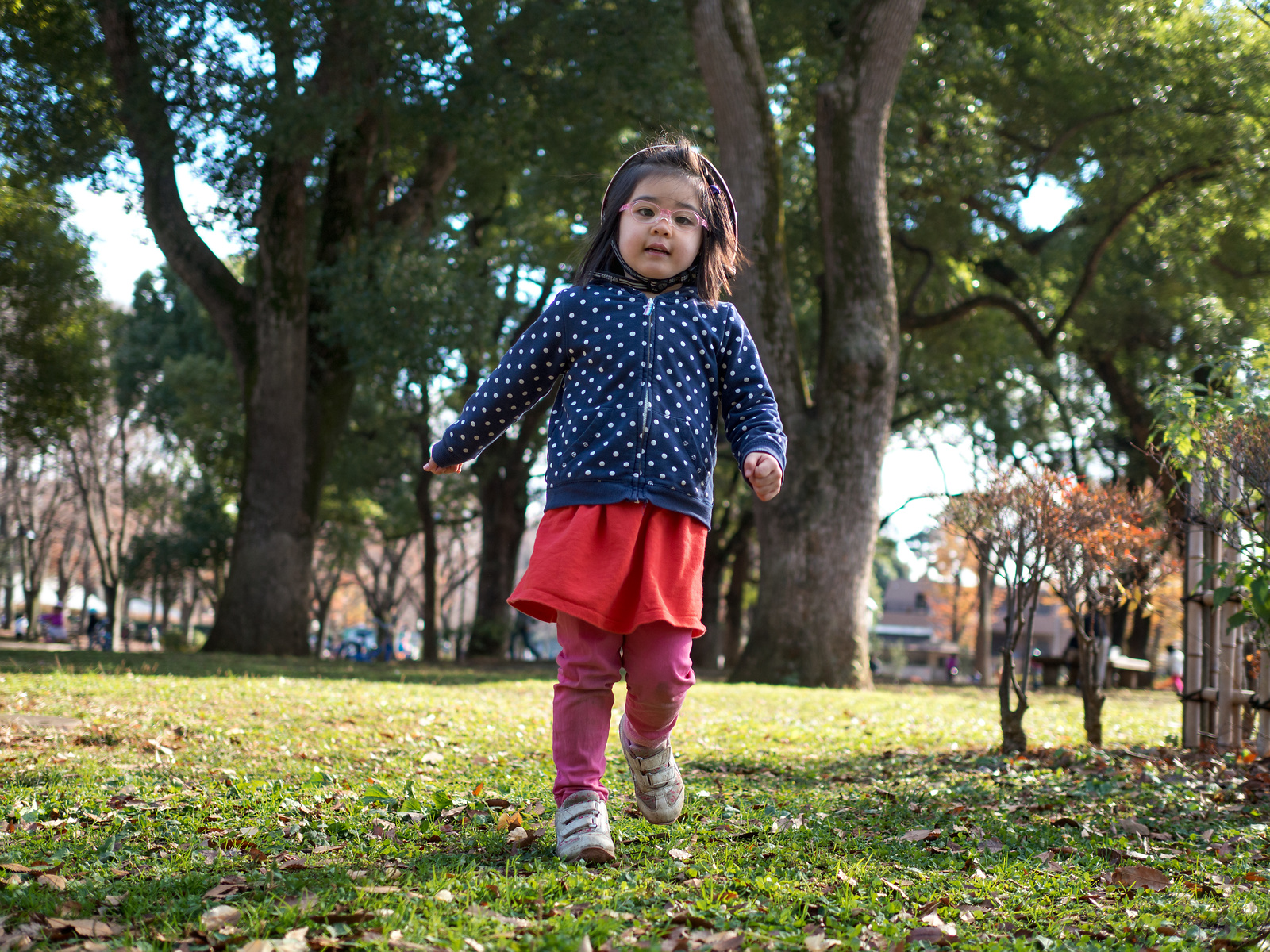 f:id:fridaynight:20161218123919j:plain f:id:fridaynight:20161218123919j:plain