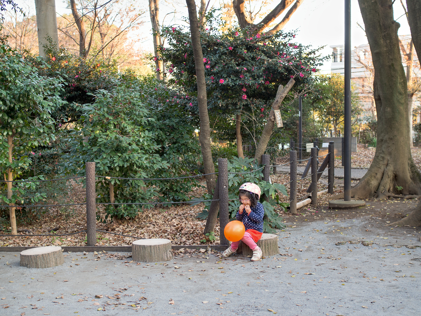 f:id:fridaynight:20161218153737j:plain f:id:fridaynight:20161218153737j:plain