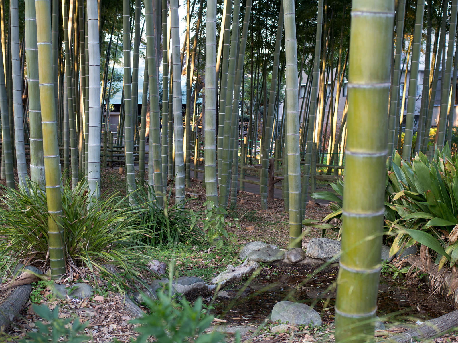 f:id:fridaynight:20161218153902j:plain f:id:fridaynight:20161218153902j:plain