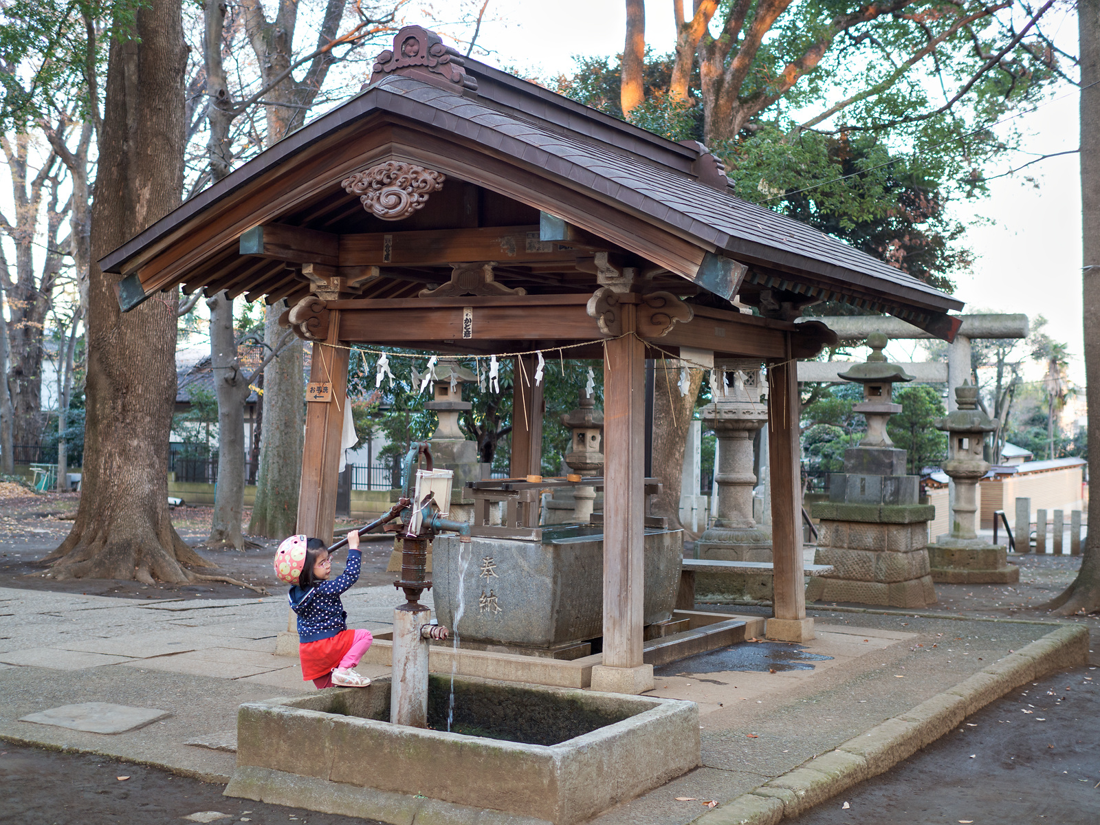 f:id:fridaynight:20161218160149j:plain f:id:fridaynight:20161218160149j:plain