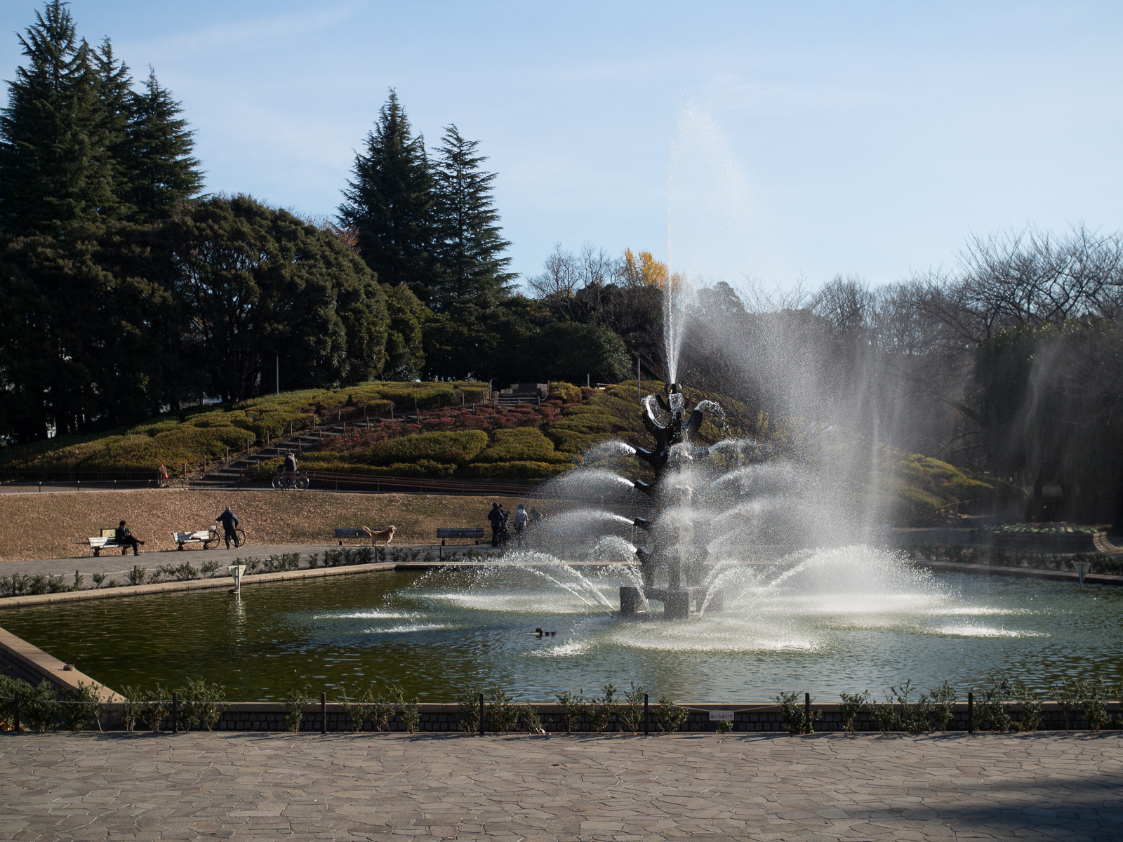 f:id:fridaynight:20161220200121j:plain