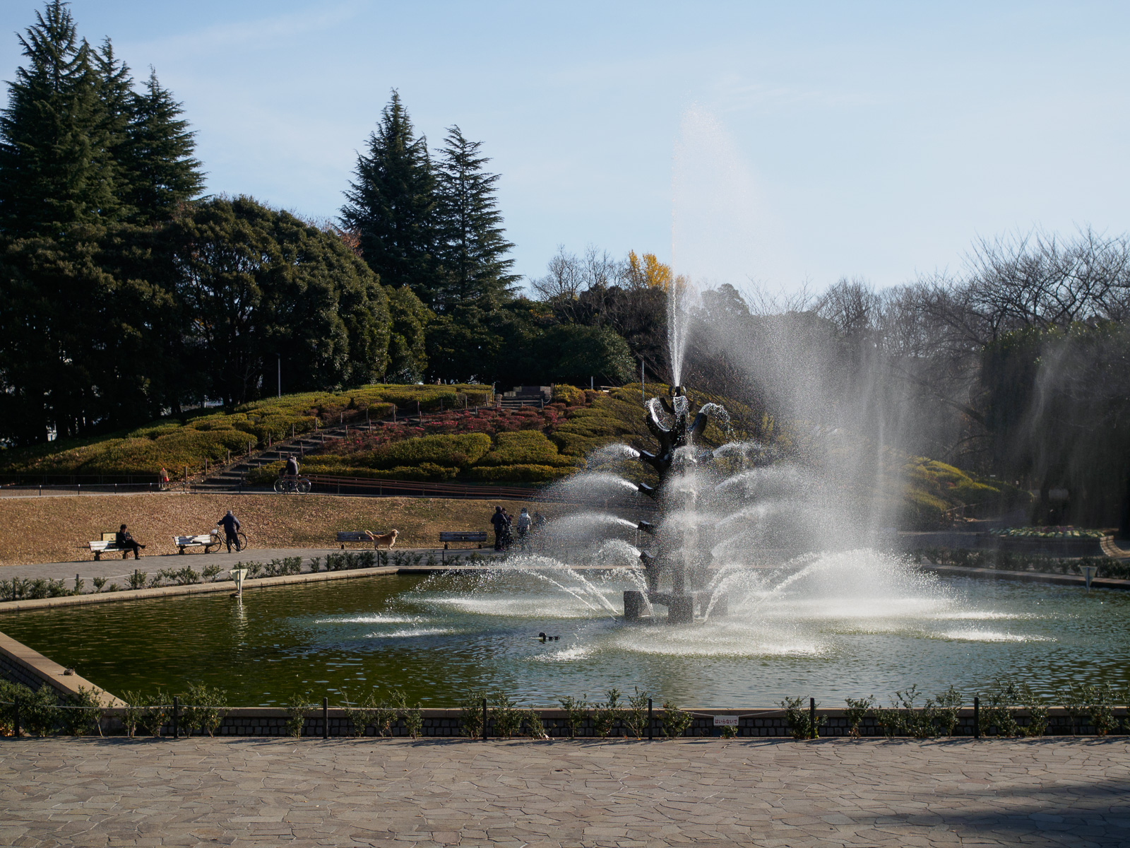 f:id:fridaynight:20161220200201j:plain