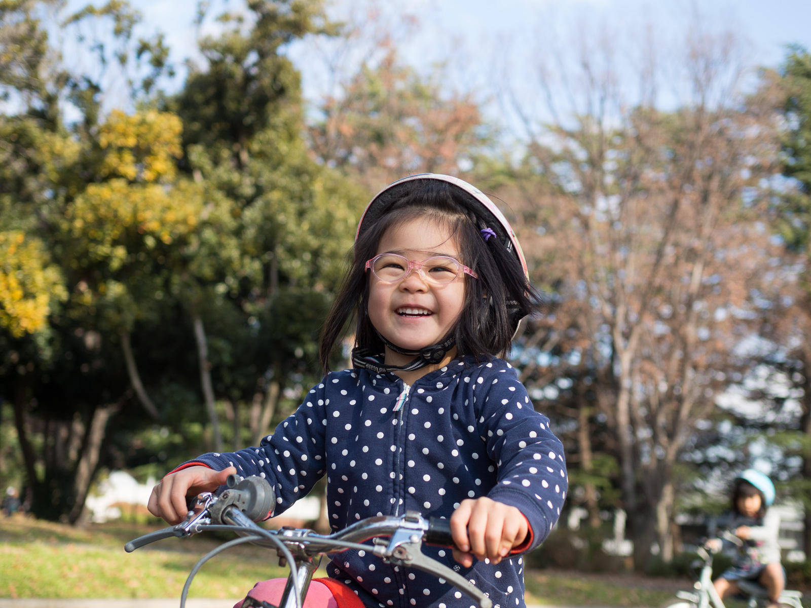 f:id:fridaynight:20161220214323j:plain