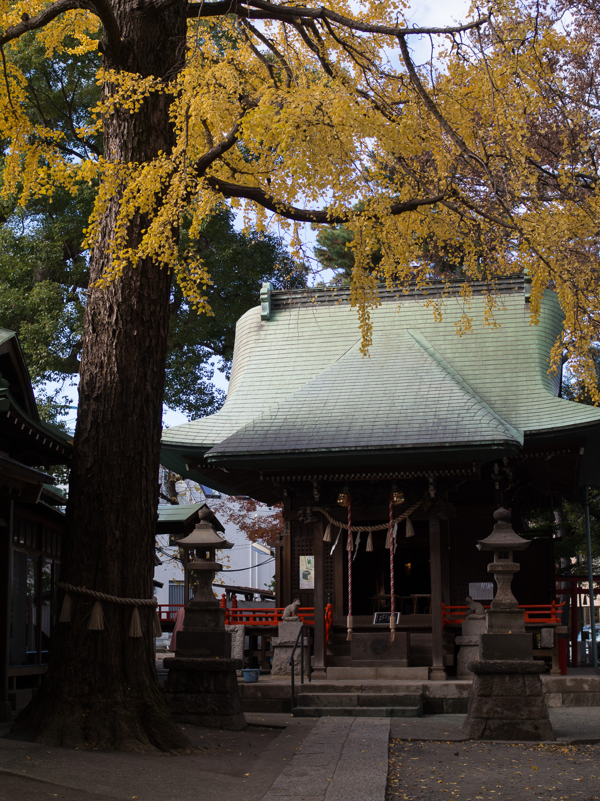 f:id:fridaynight:20161220214956j:plain