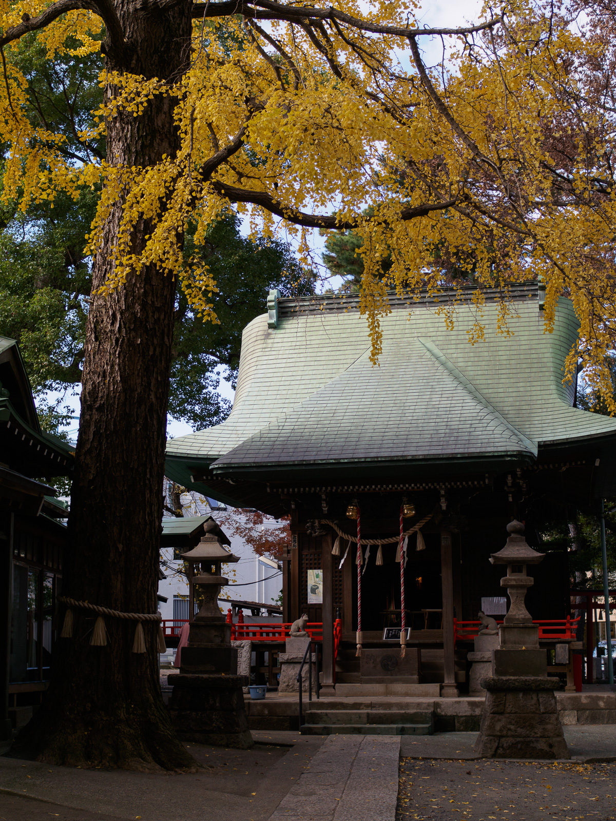 f:id:fridaynight:20161220215125j:plain