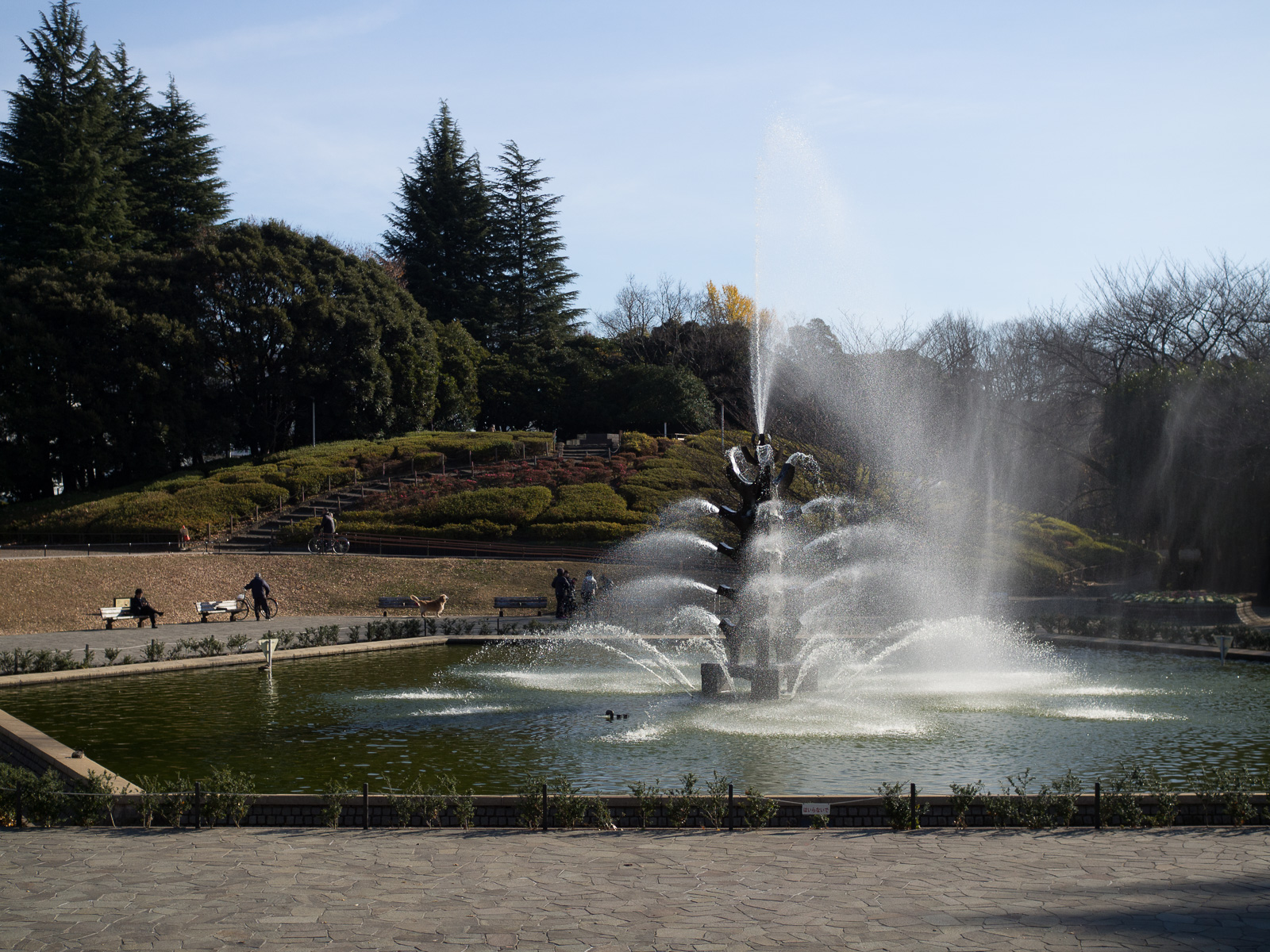 f:id:fridaynight:20161220221630j:plain