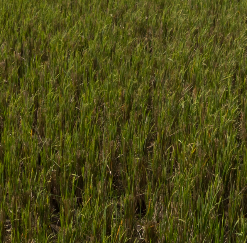 f:id:fridaynight:20161225003037j:plain