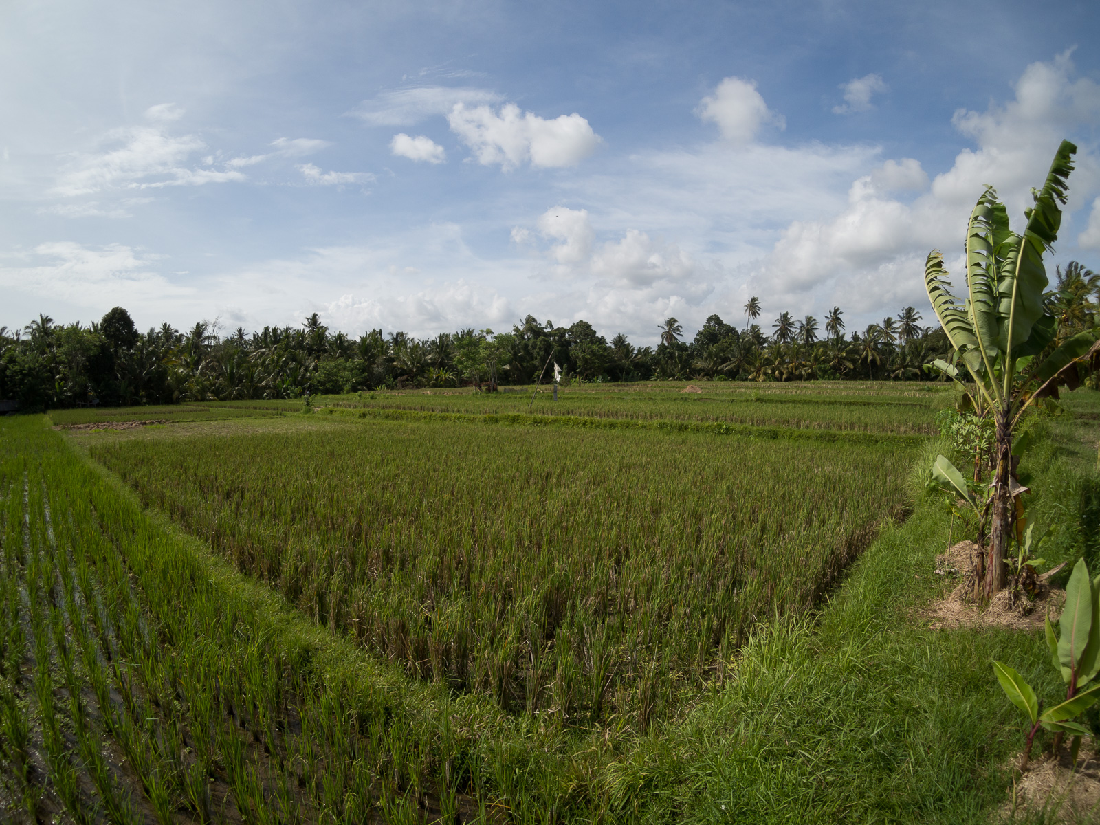 f:id:fridaynight:20161225003329j:plain