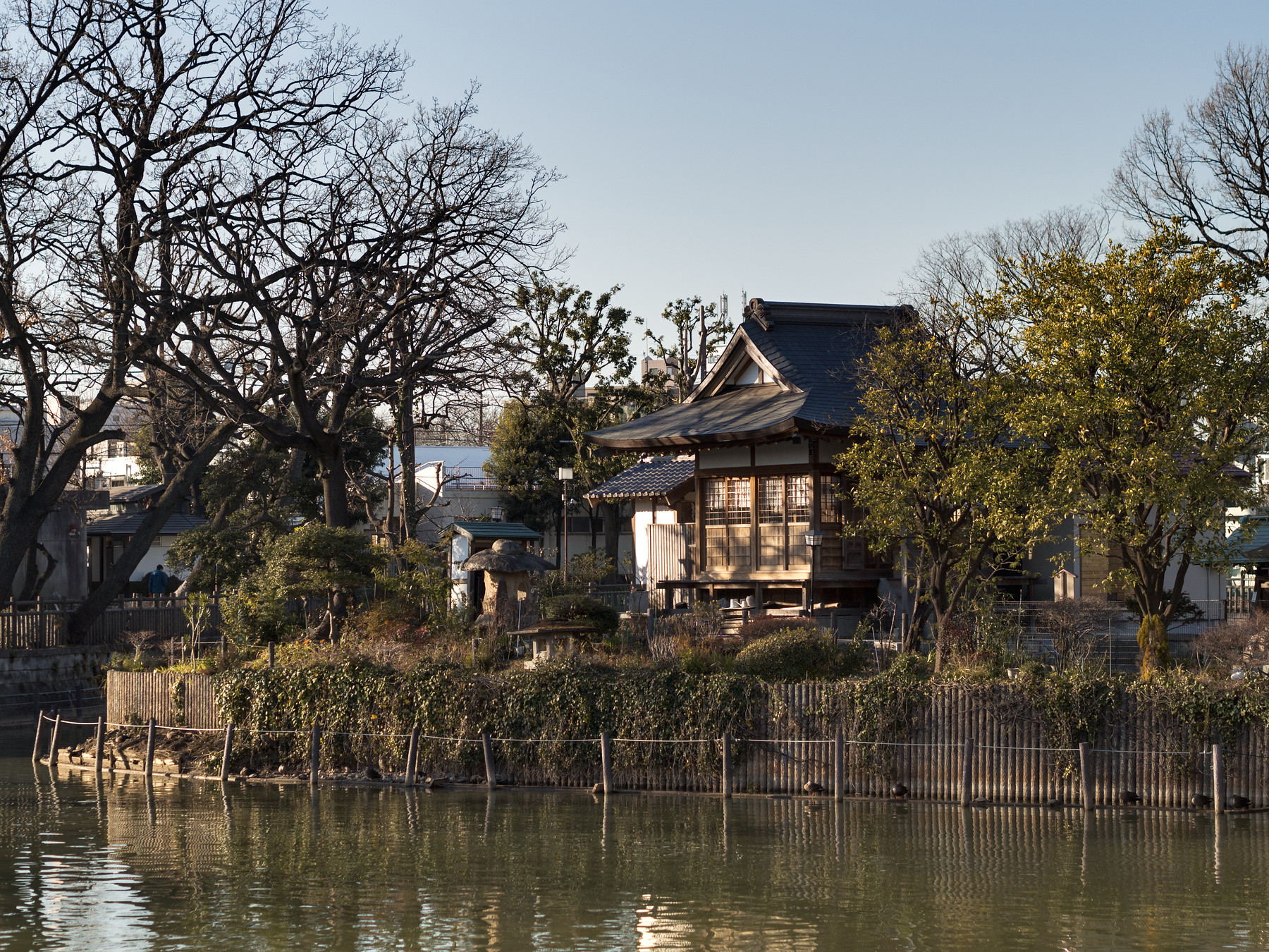 f:id:fridaynight:20170204154159j:plain