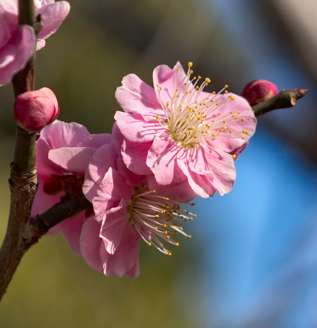 f:id:fridaynight:20170208231436j:plain