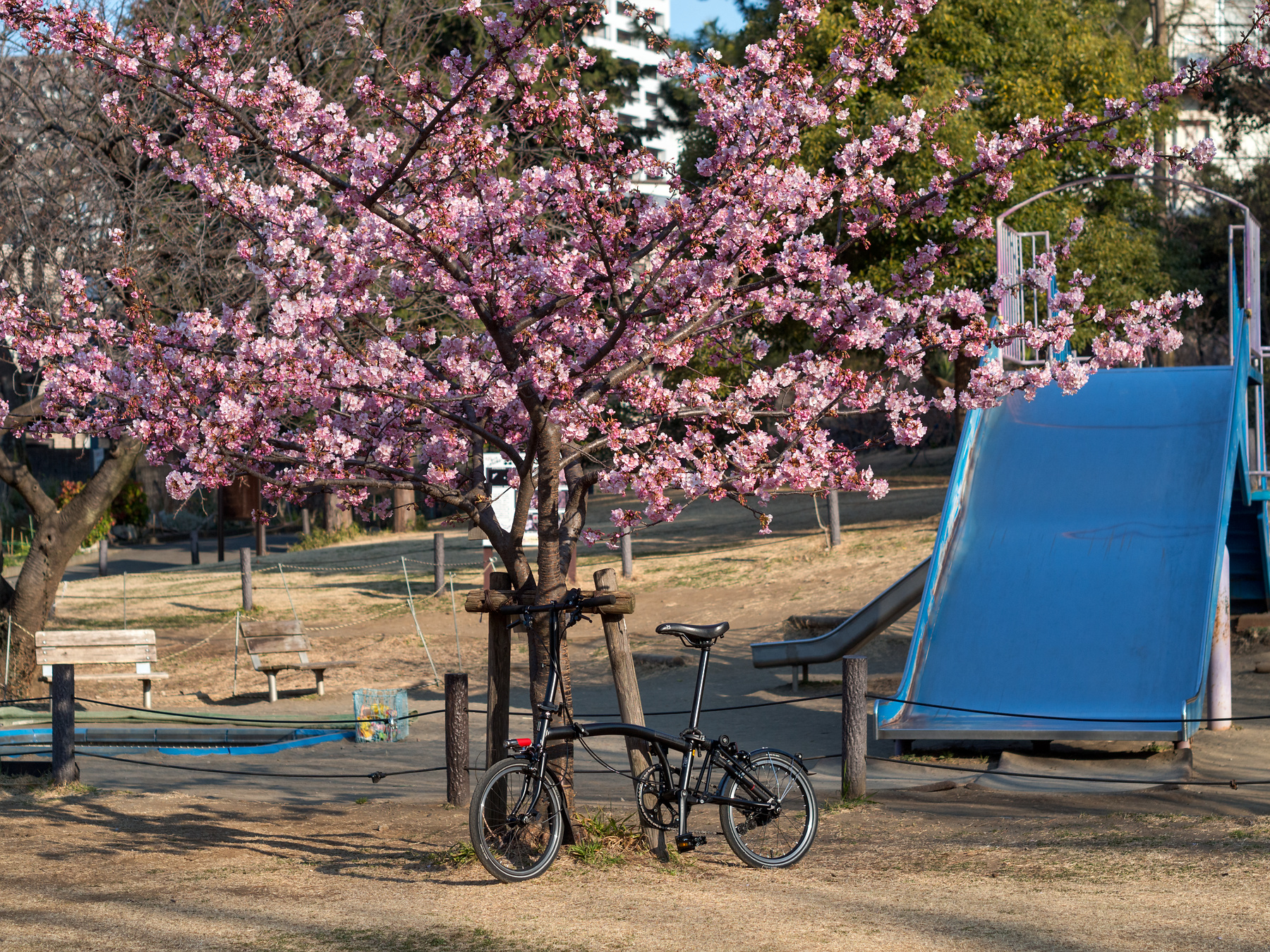 f:id:fridaynight:20170220233621j:plain