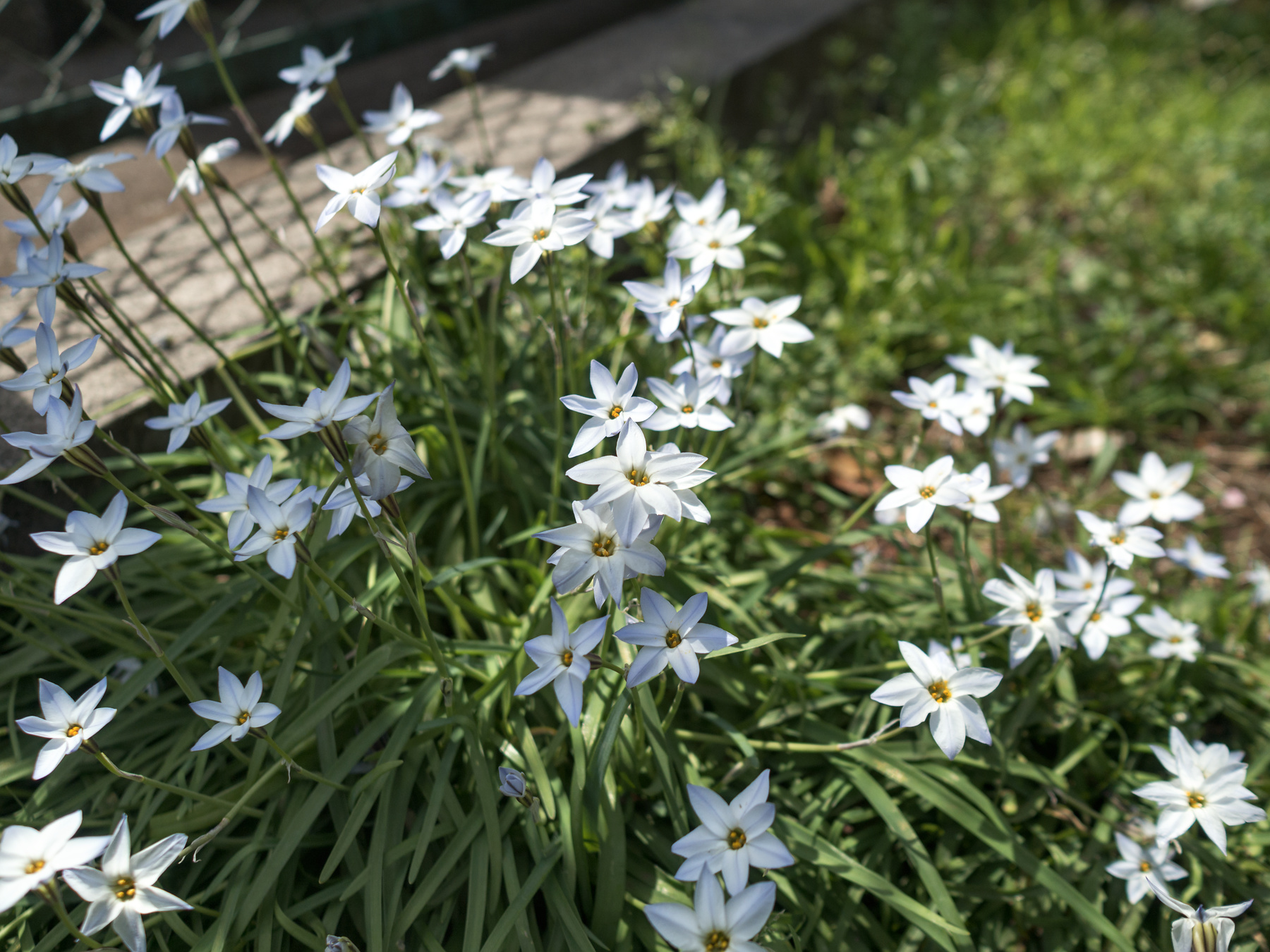 f:id:fridaynight:20170416112358j:plain