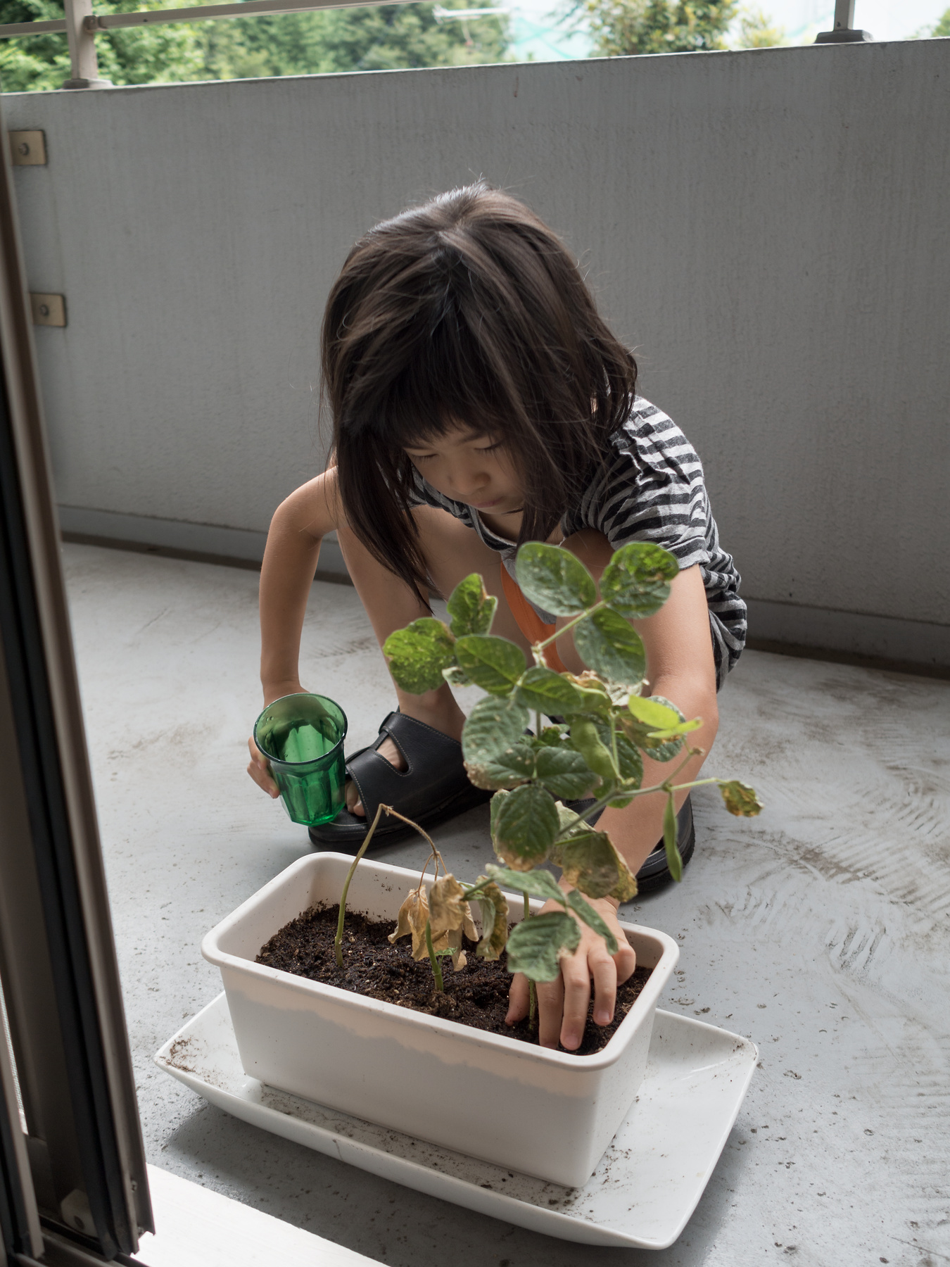 f:id:fridaynight:20170626090546j:plain