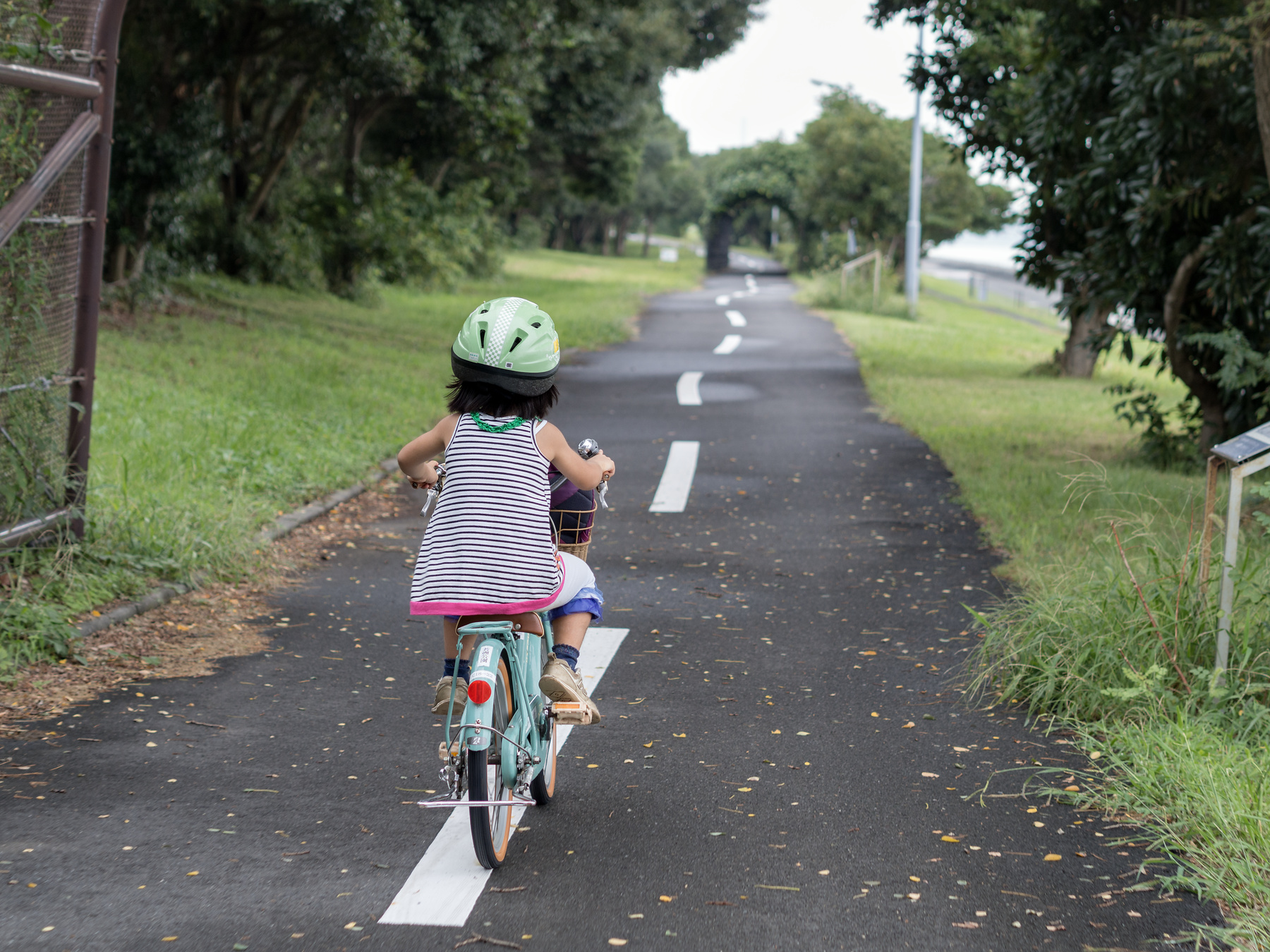 f:id:fridaynight:20170906124859j:plain