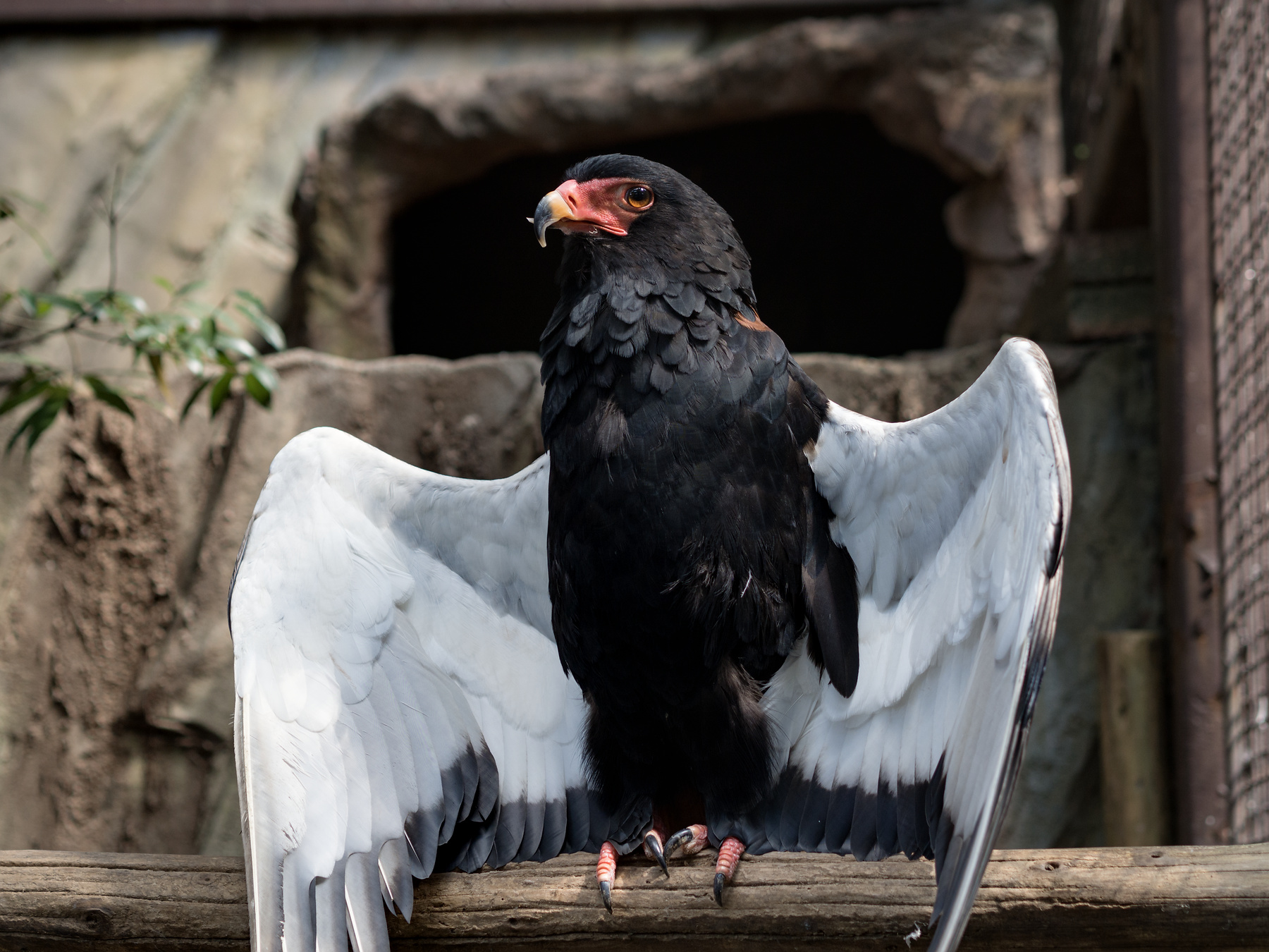 f:id:fridaynight:20170910131158j:plain