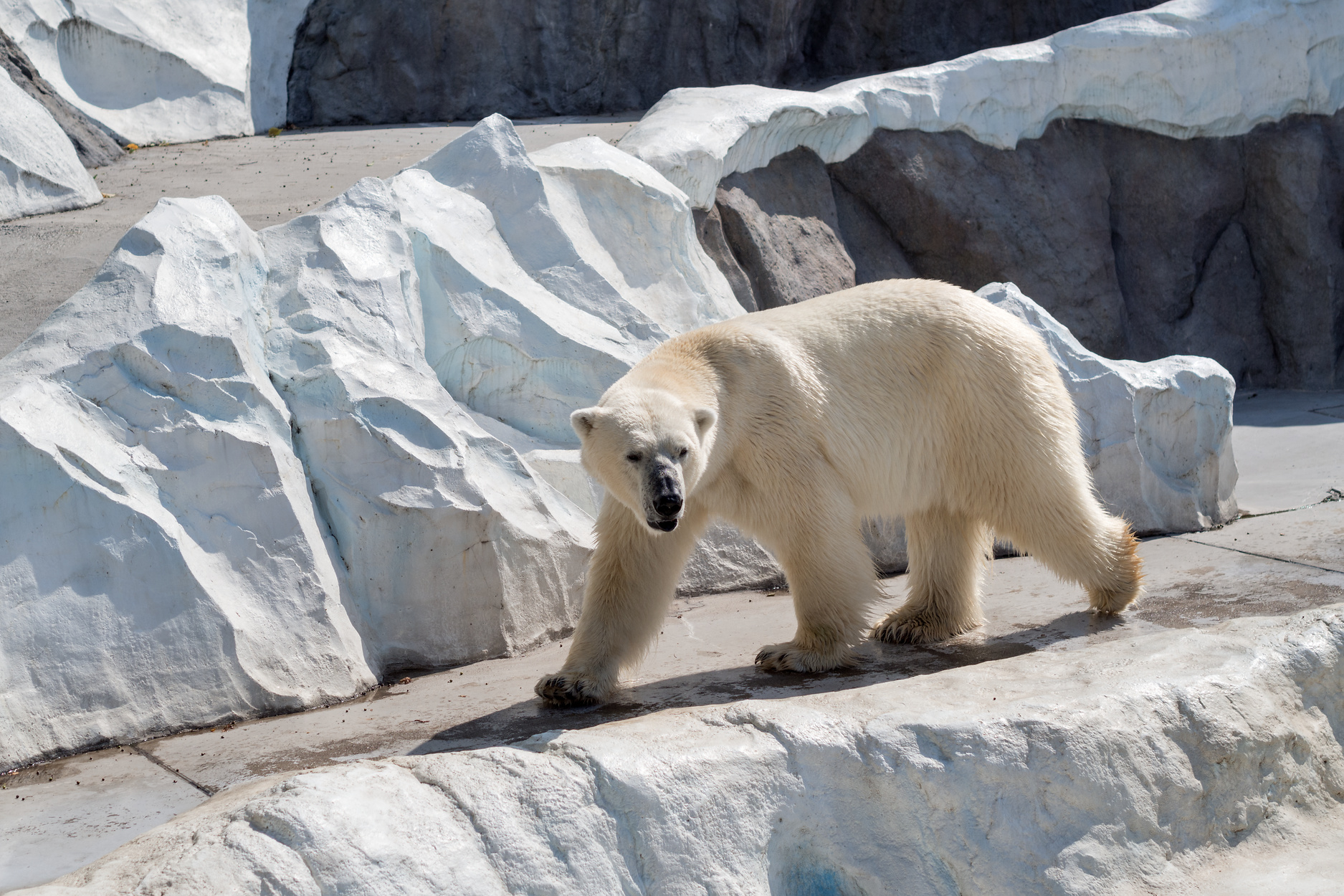 f:id:fridaynight:20170910140730j:plain