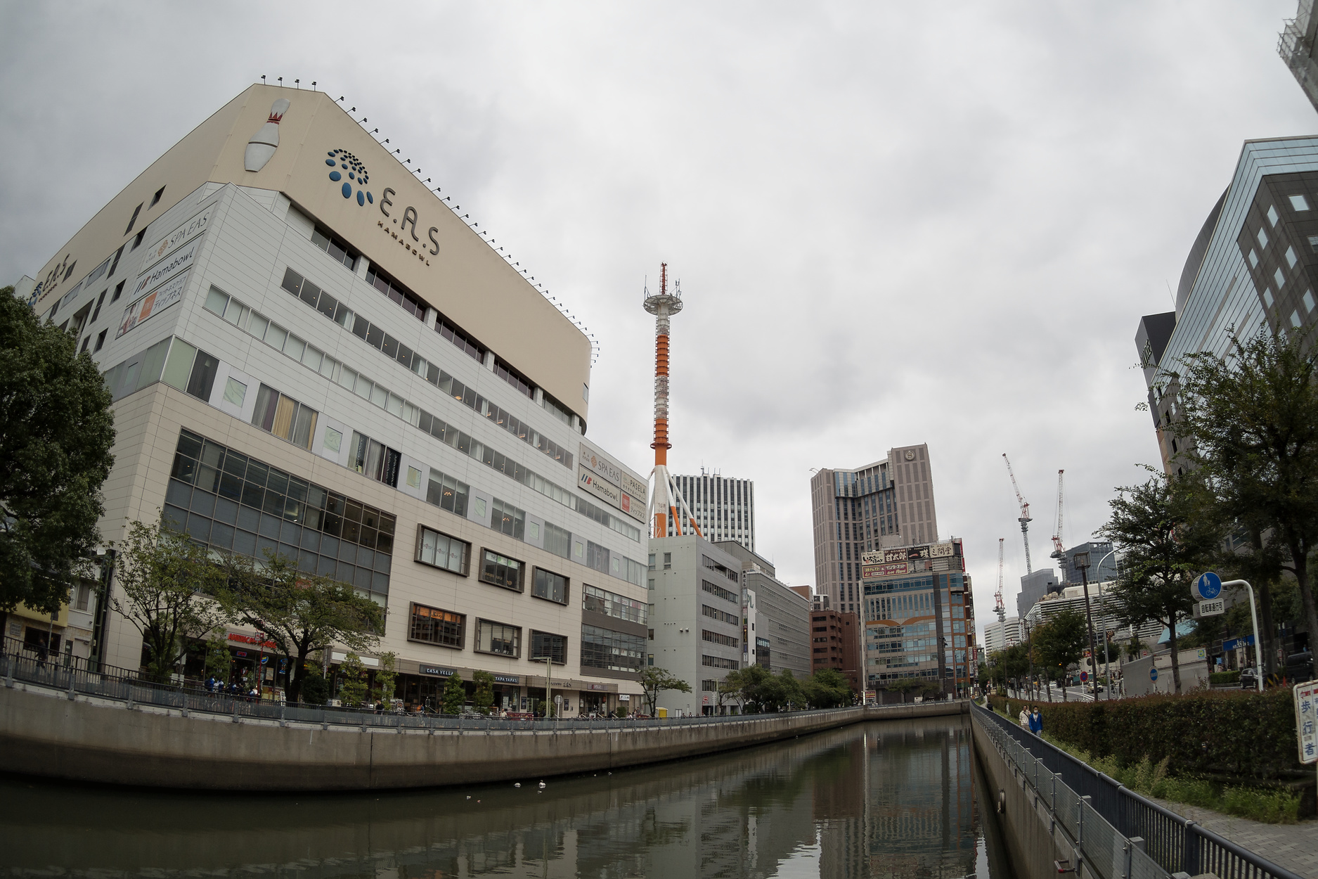 f:id:fridaynight:20170923131249j:plain