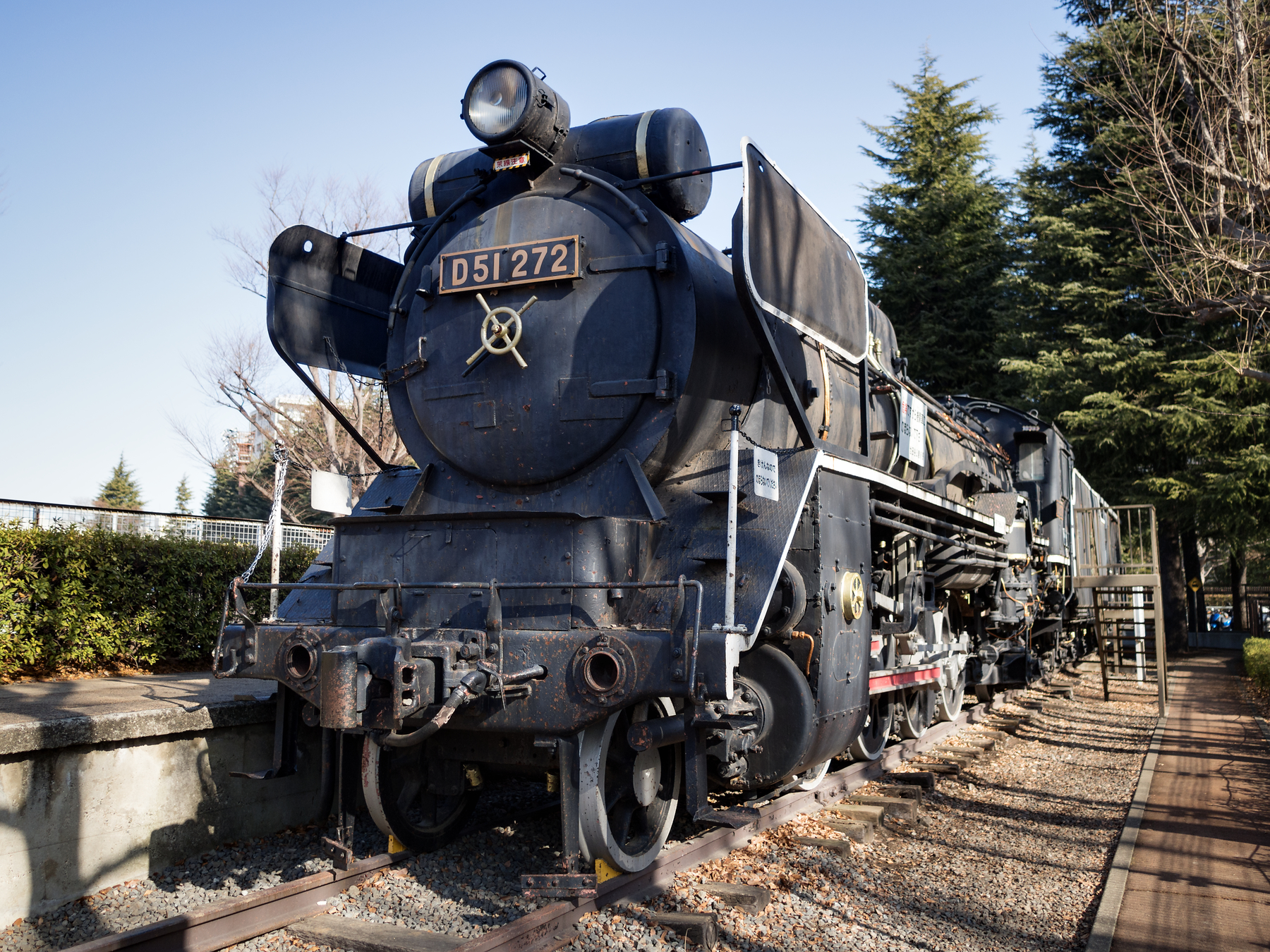 Summilux 15mmのボケ - 豪鬼メモ