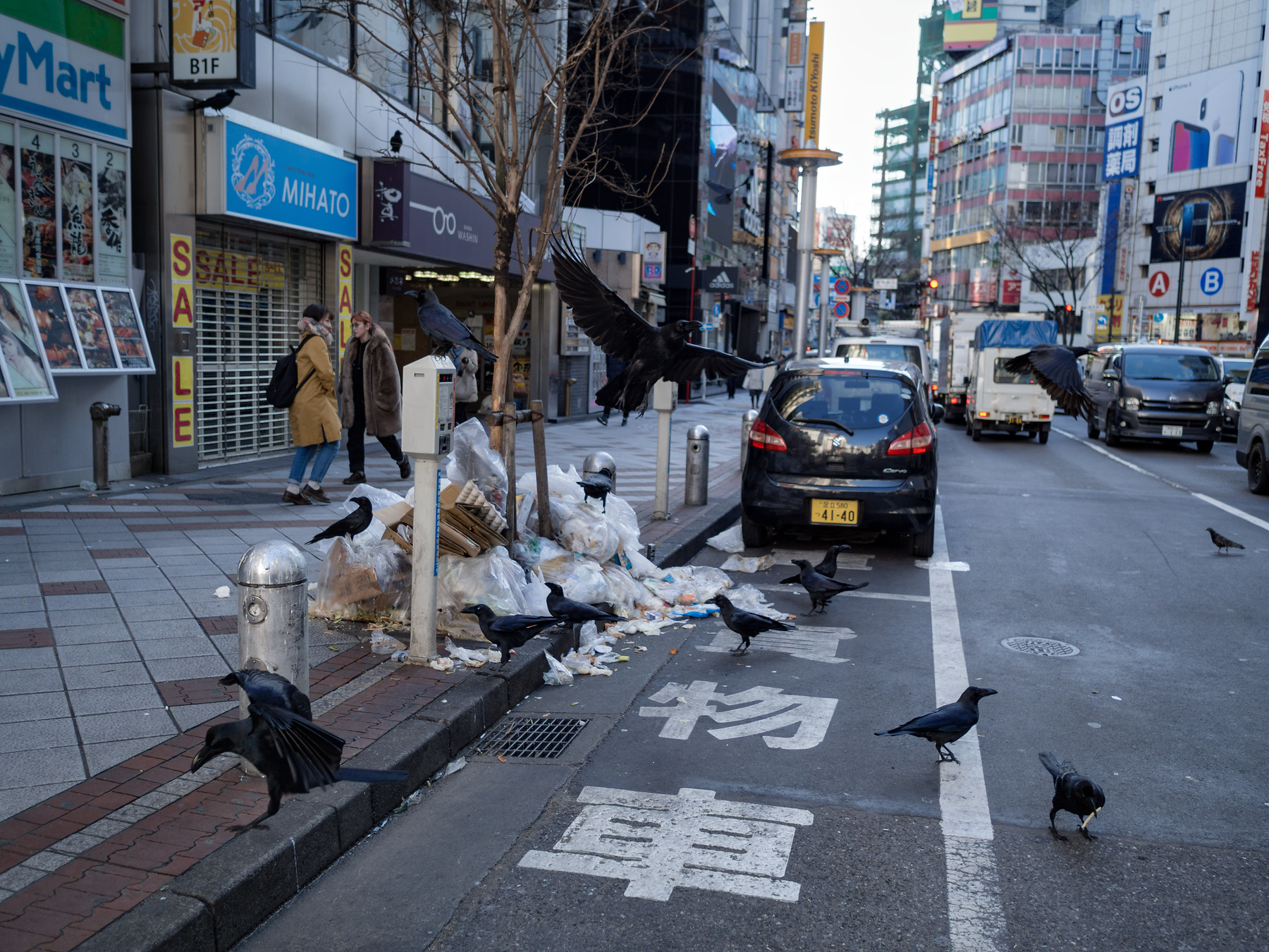f:id:fridaynight:20180207083014j:plain