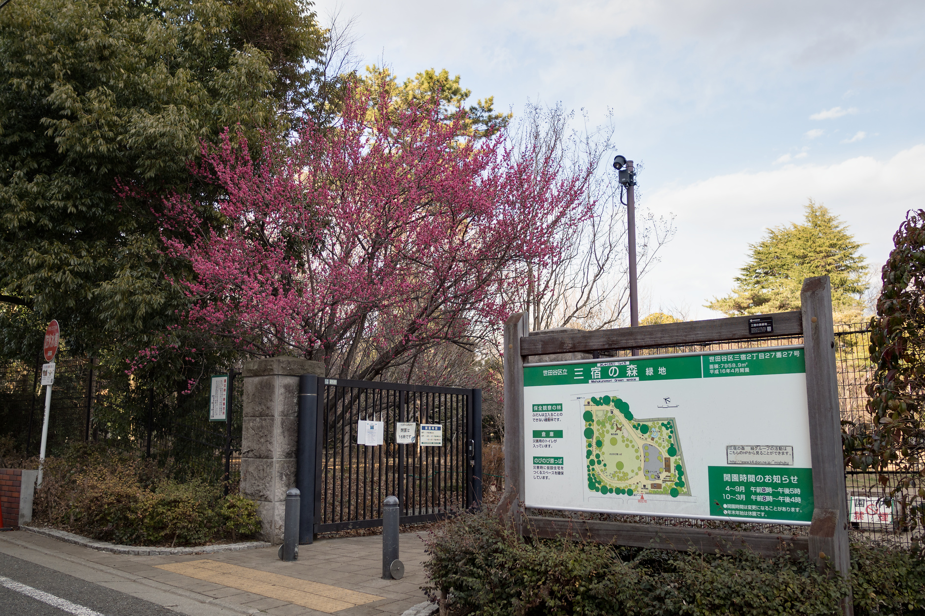 f:id:fridaynight:20180212160445j:plain