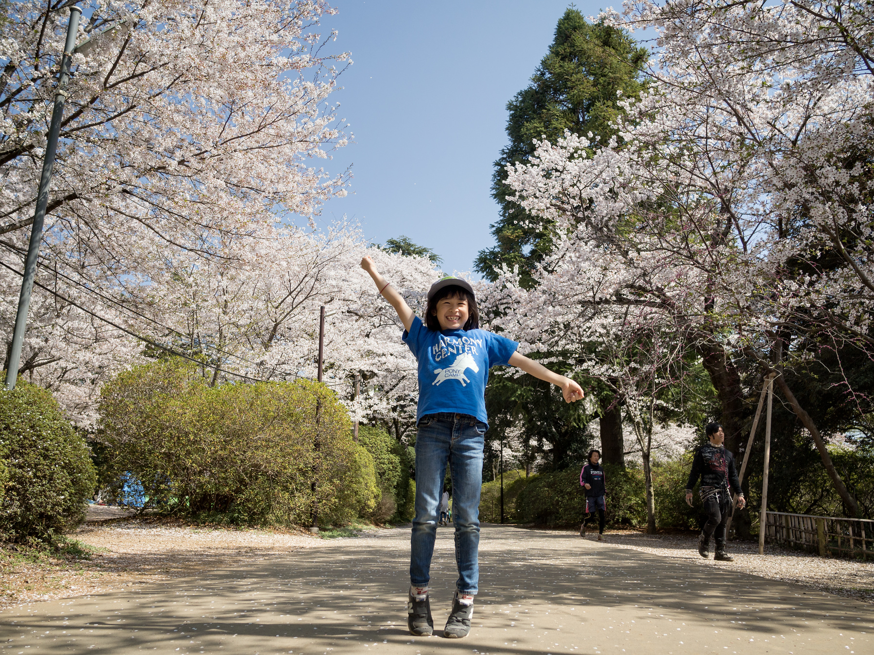 キティ　清水公園　さくらアフロ　根付け　しみず公園 キティ 清水公園 さくらアフロ 根付け しみず公園 廃盤レア