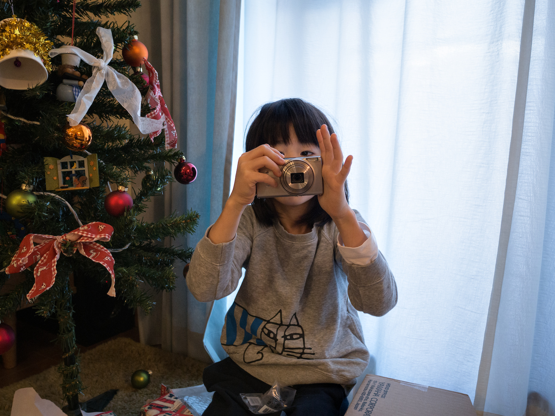 f:id:fridaynight:20181224071223j:plain