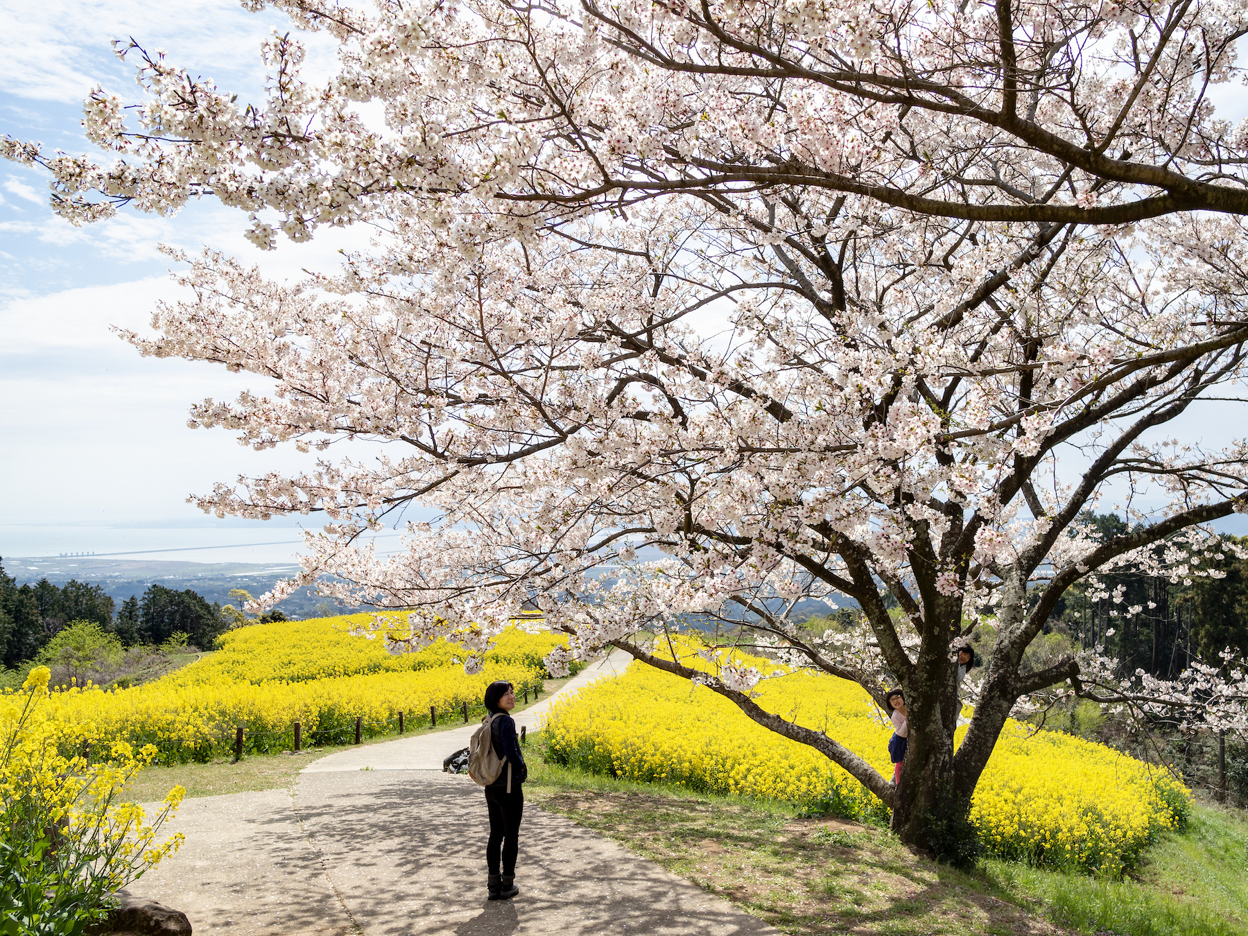 f:id:fridaynight:20190405102609j:plain