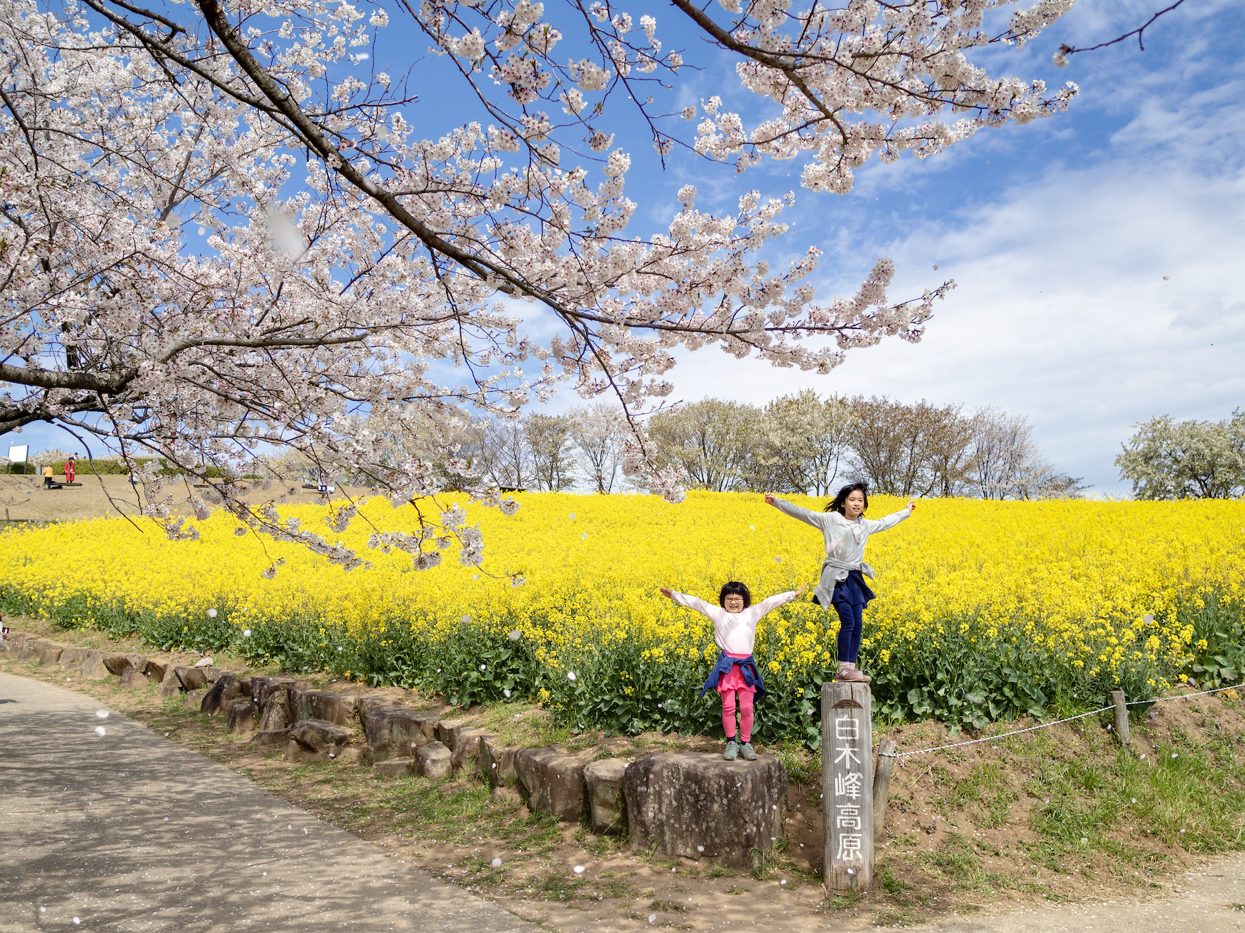 f:id:fridaynight:20190405103123j:plain