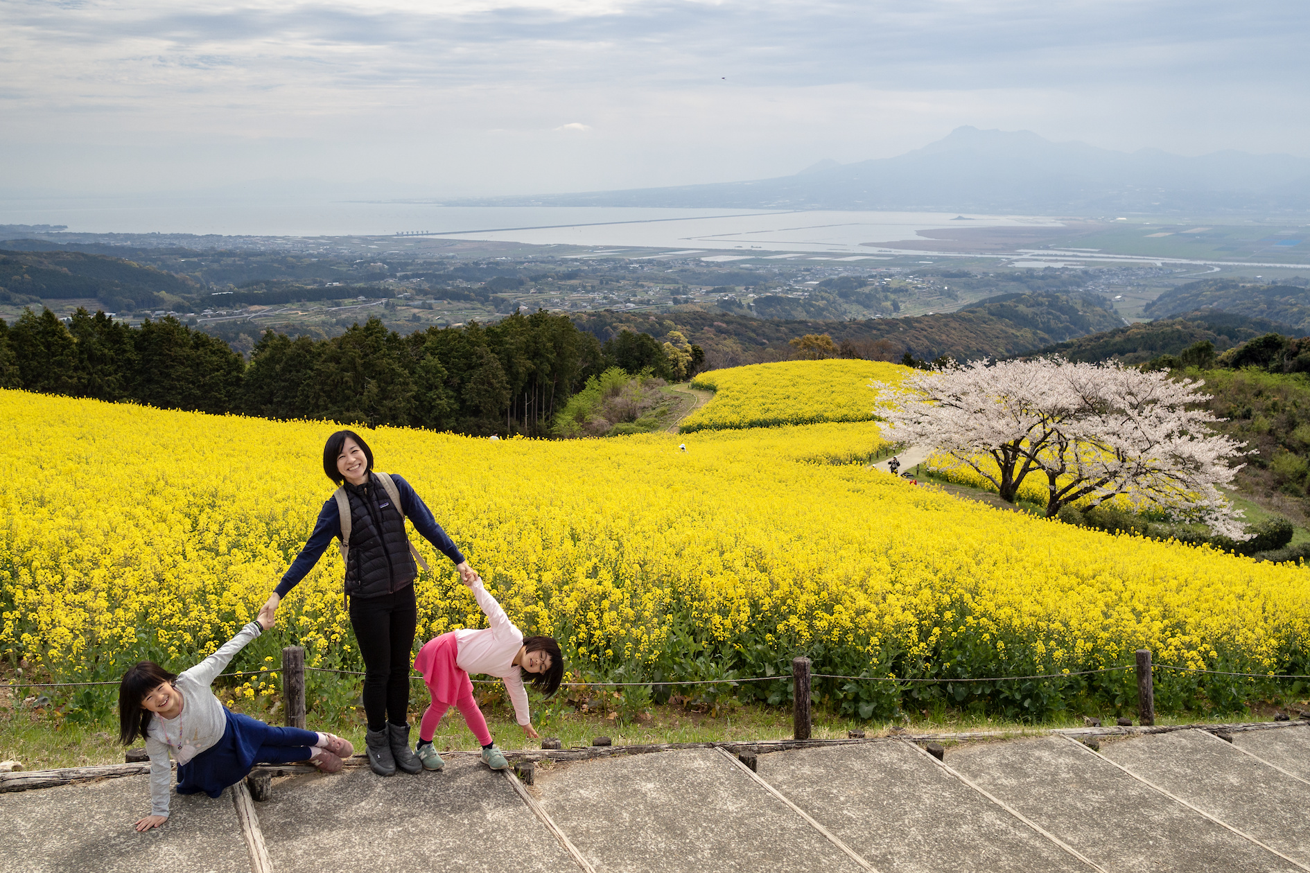 f:id:fridaynight:20190405104437j:plain