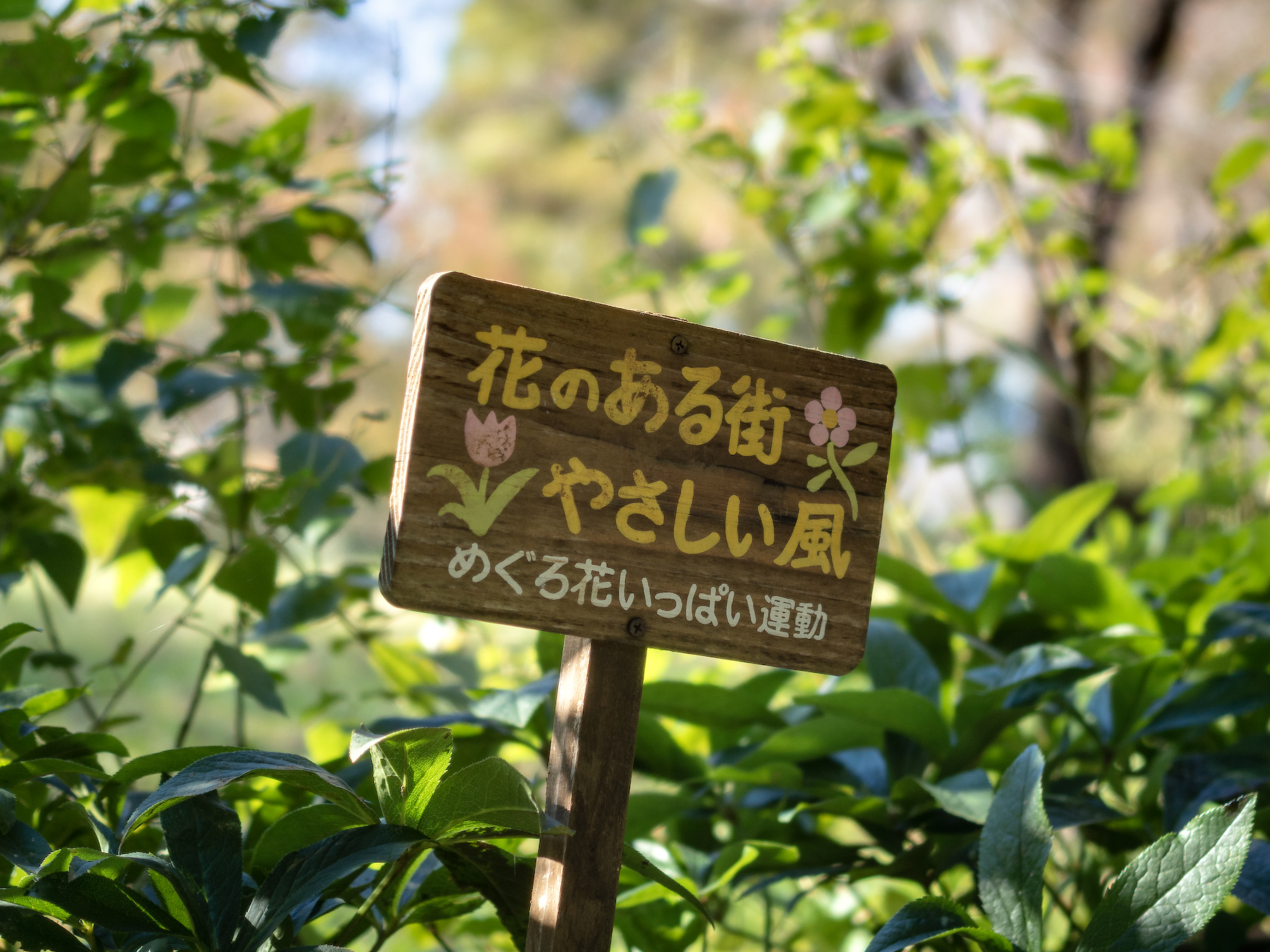 f:id:fridaynight:20191107100228j:plain